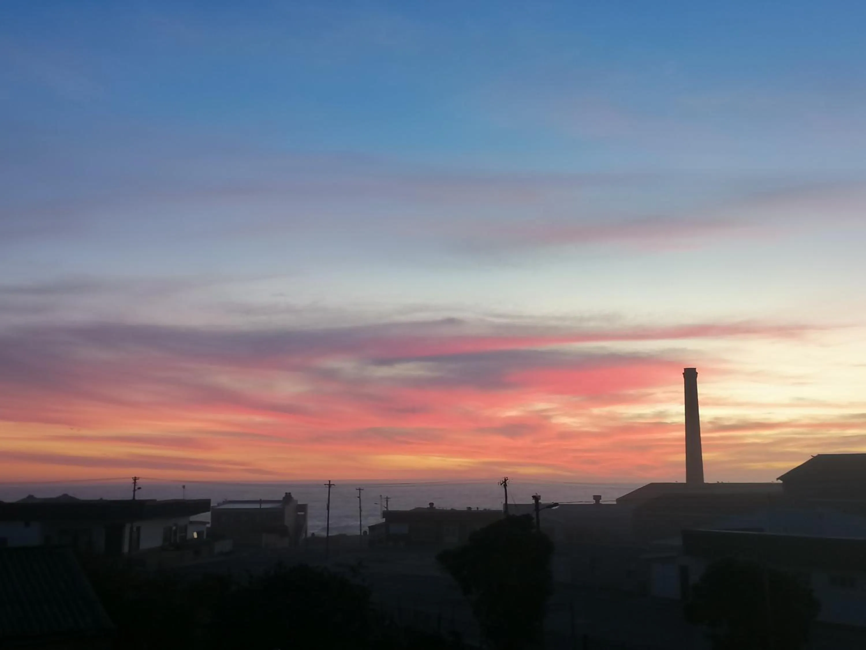 Bokkomblommetjie