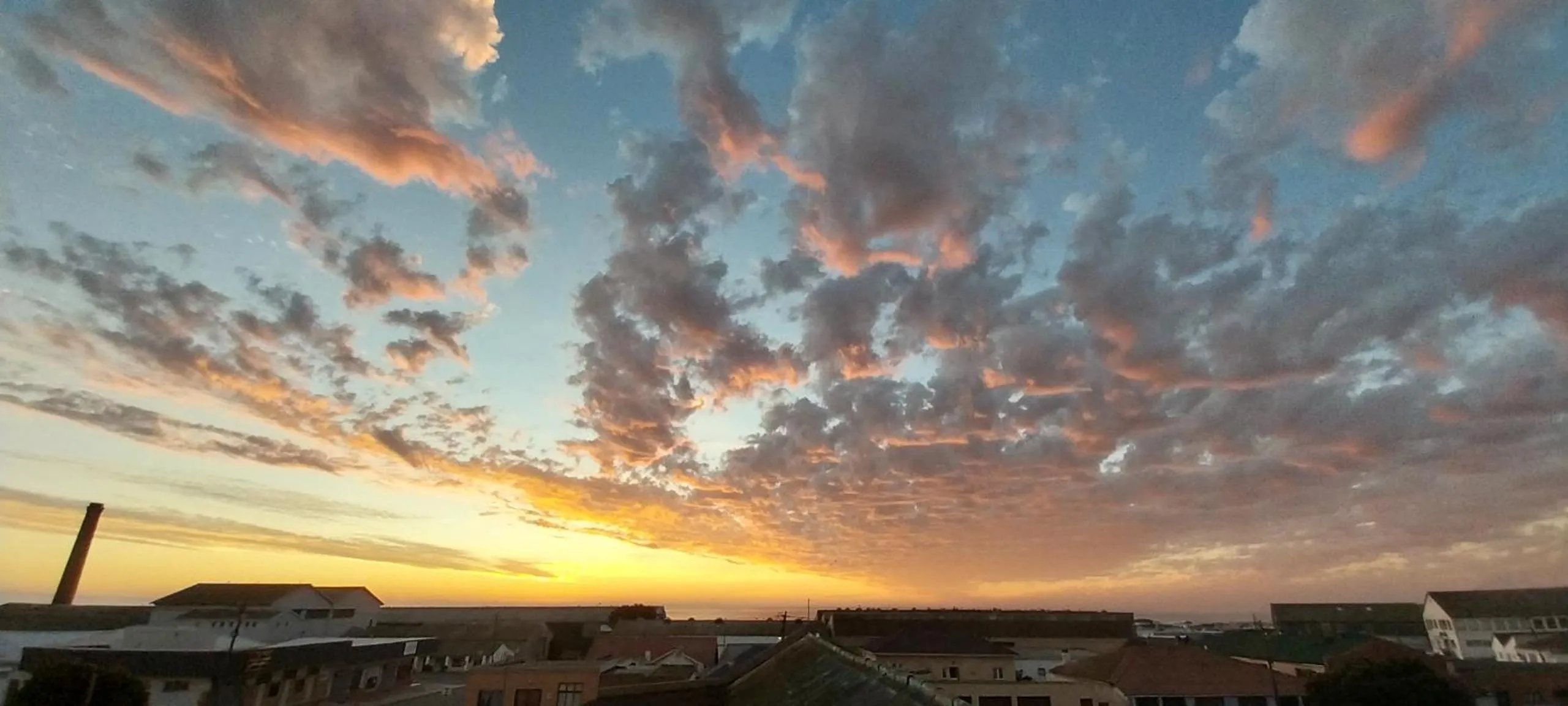 Bokkomblommetjie