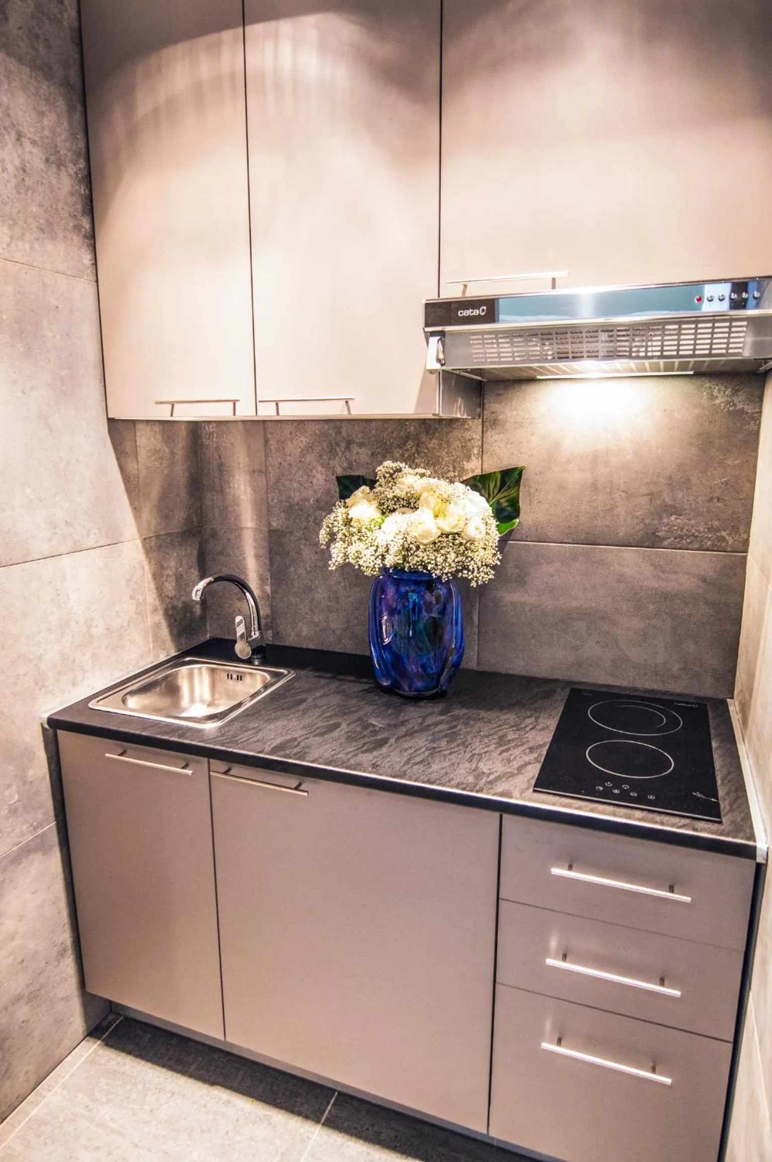 Kitchen or kitchenette in Drake Longchamp