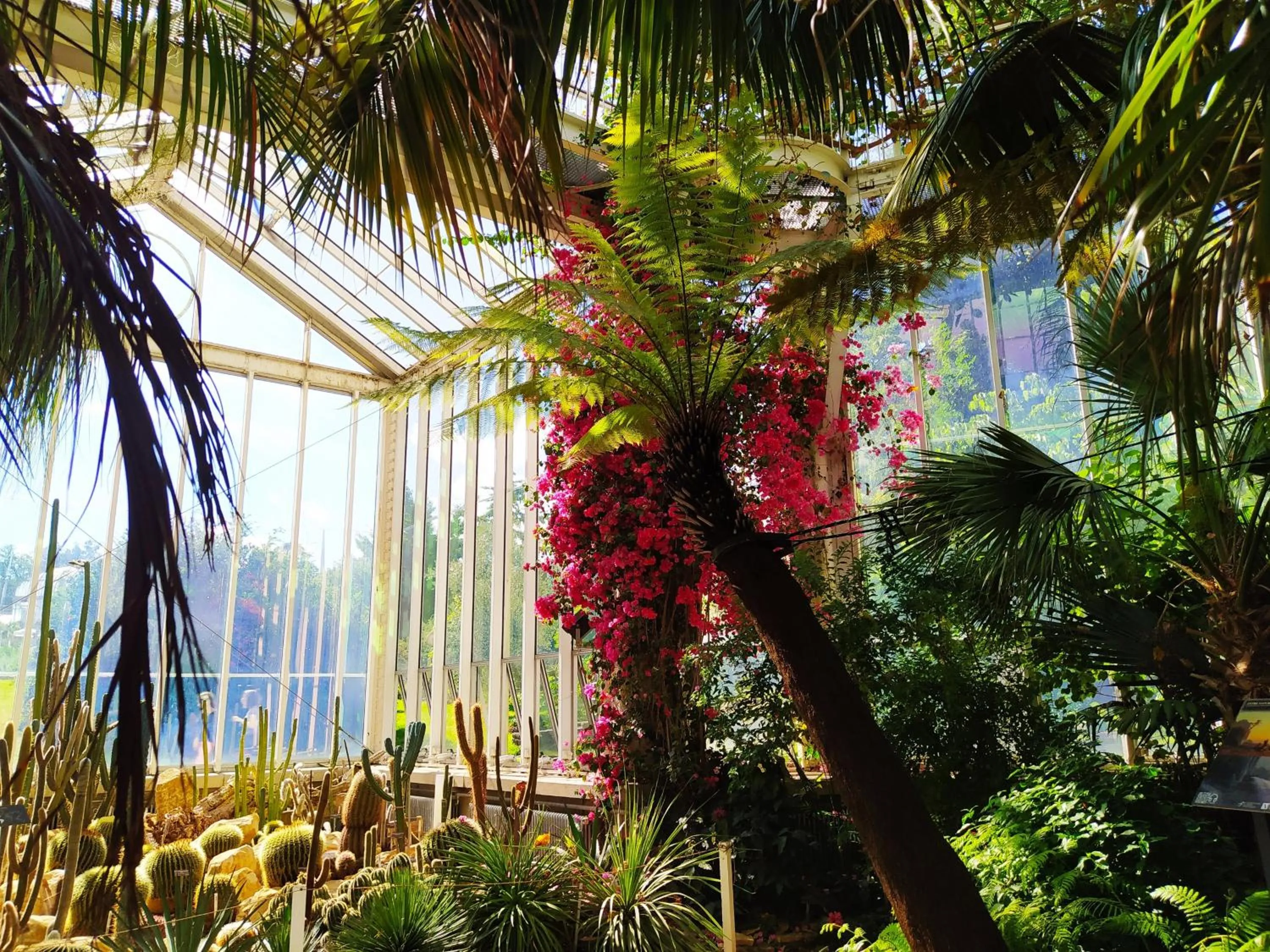 Natural landscape in Drake Longchamp