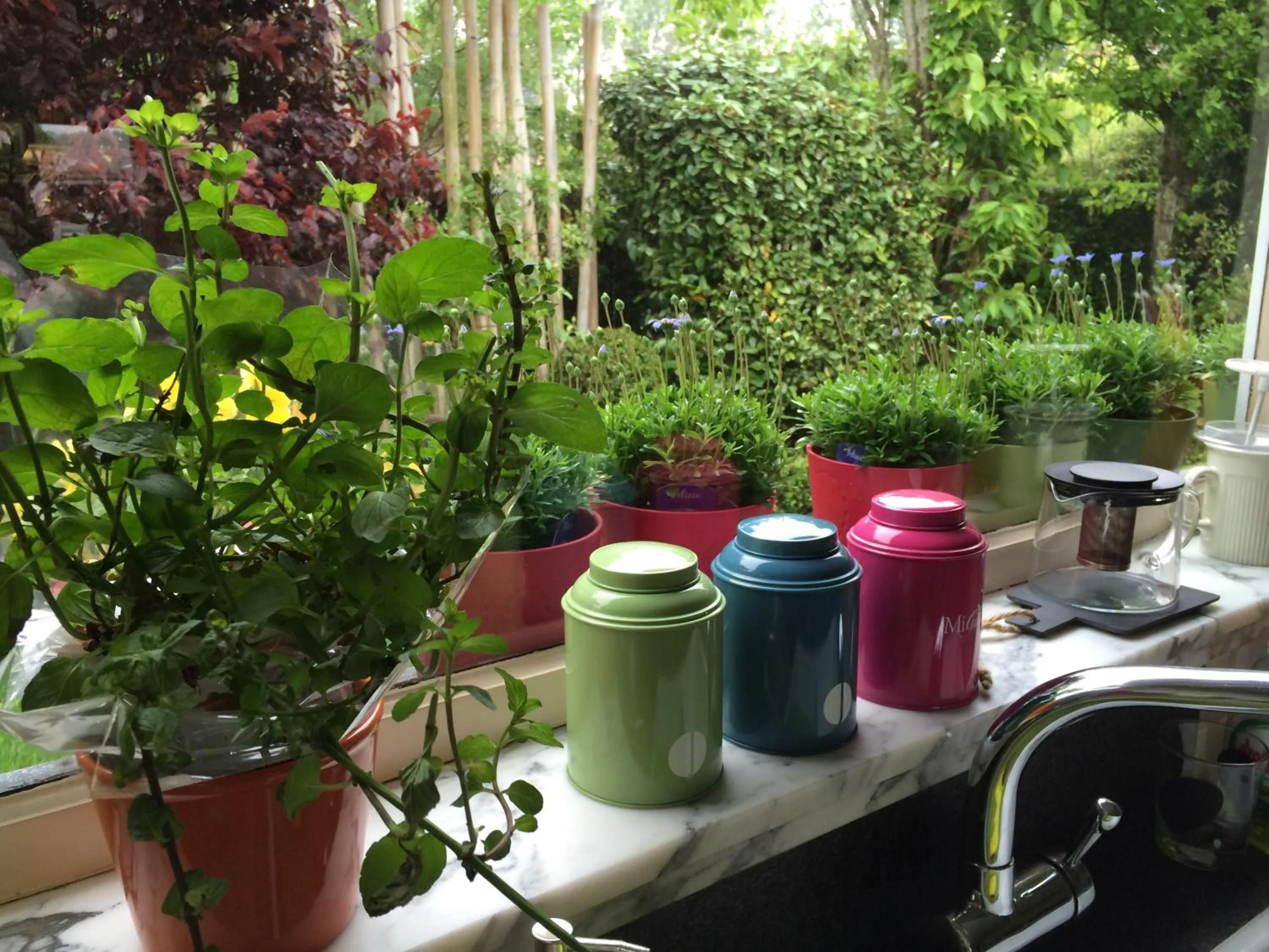 Location in B&B Huize Van Damme