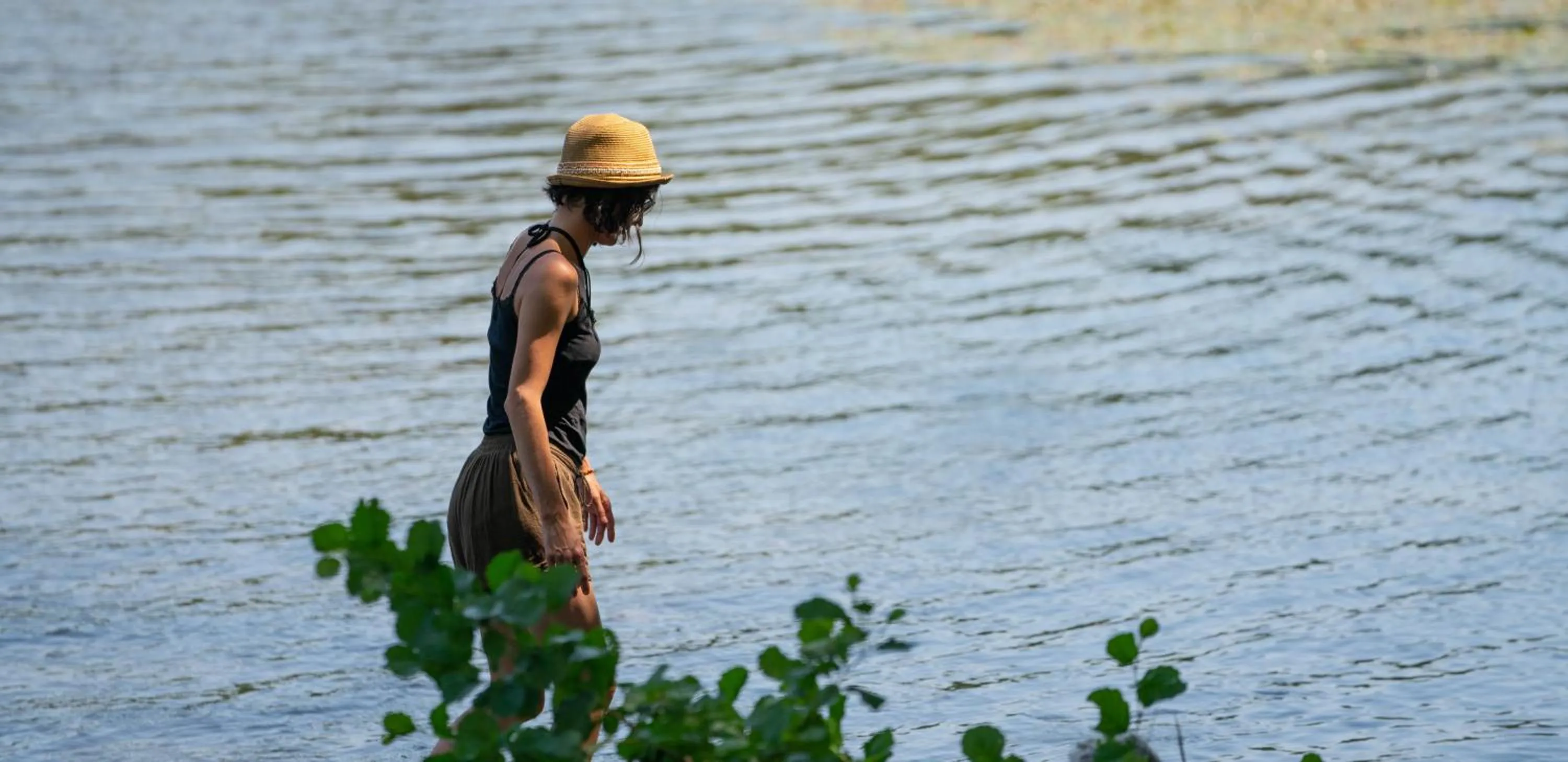 River view in Camping de la Bageasse