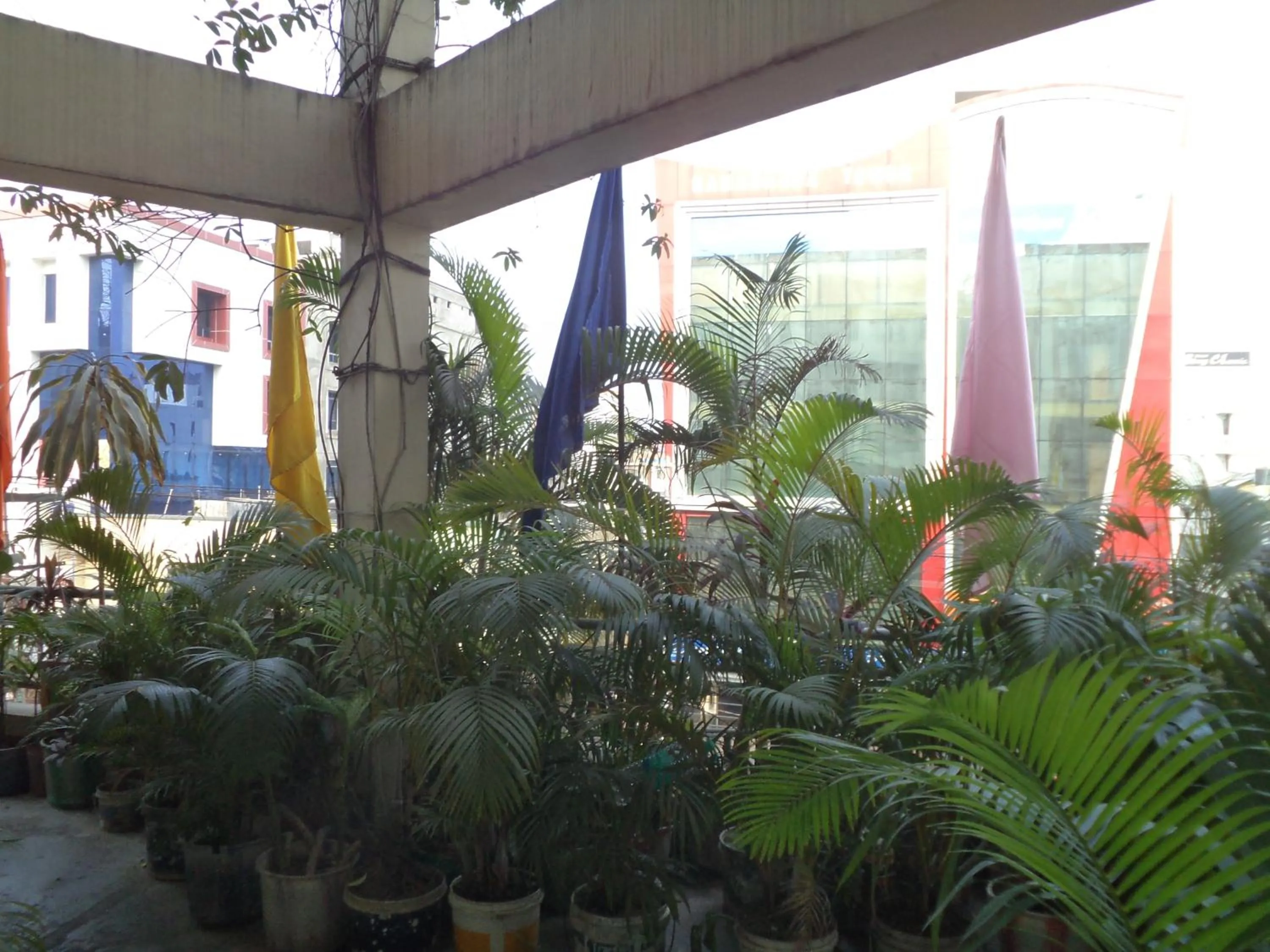 Garden in Hotel Mahalaxmi Indo Myanmar