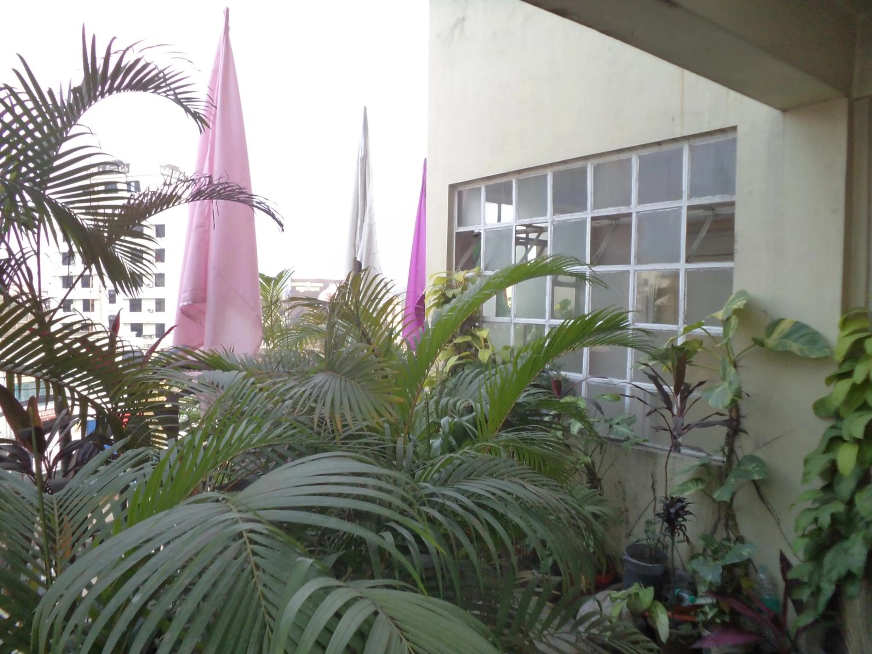 Garden in Hotel Mahalaxmi Indo Myanmar