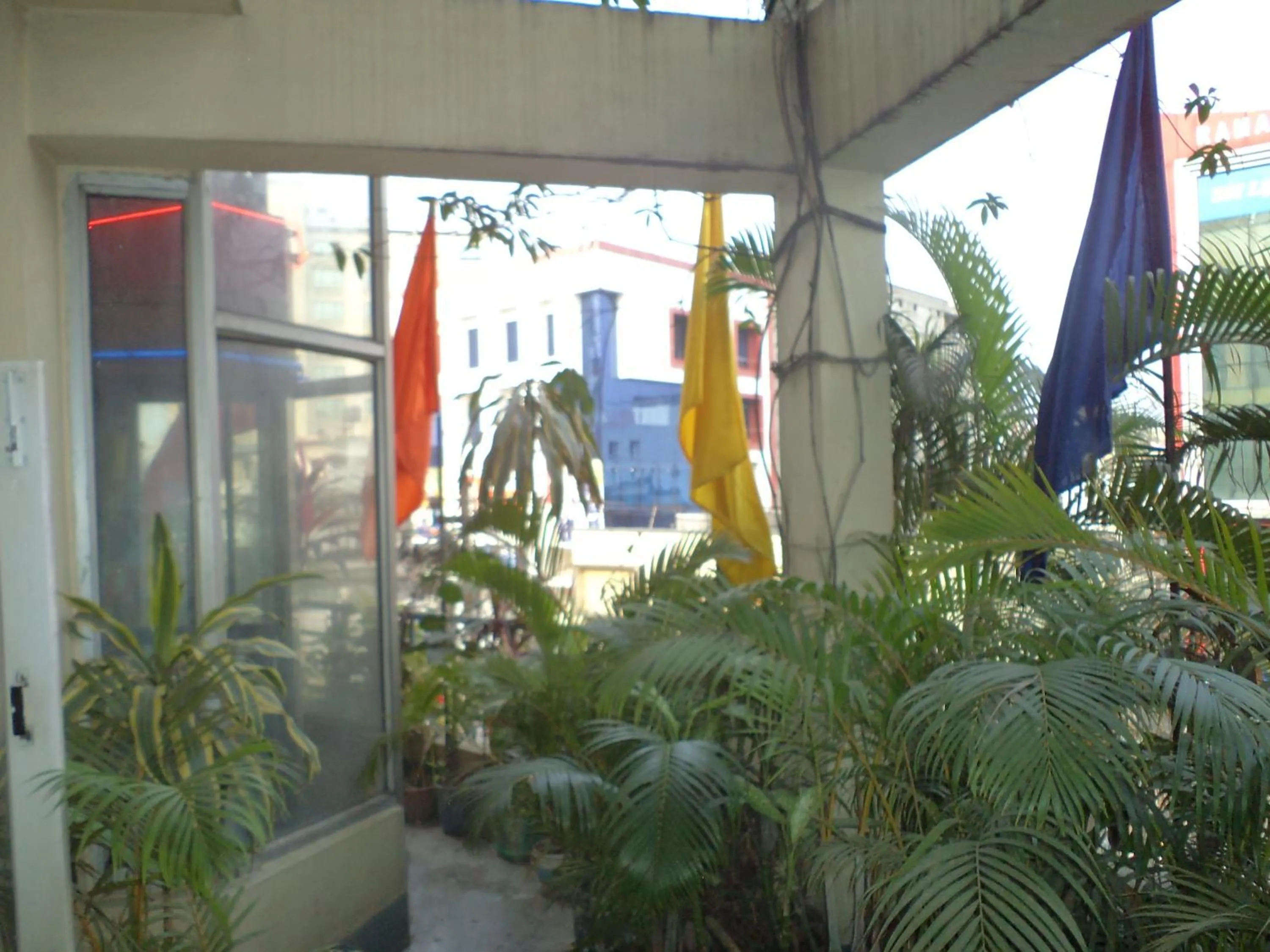 Garden in Hotel Mahalaxmi Indo Myanmar