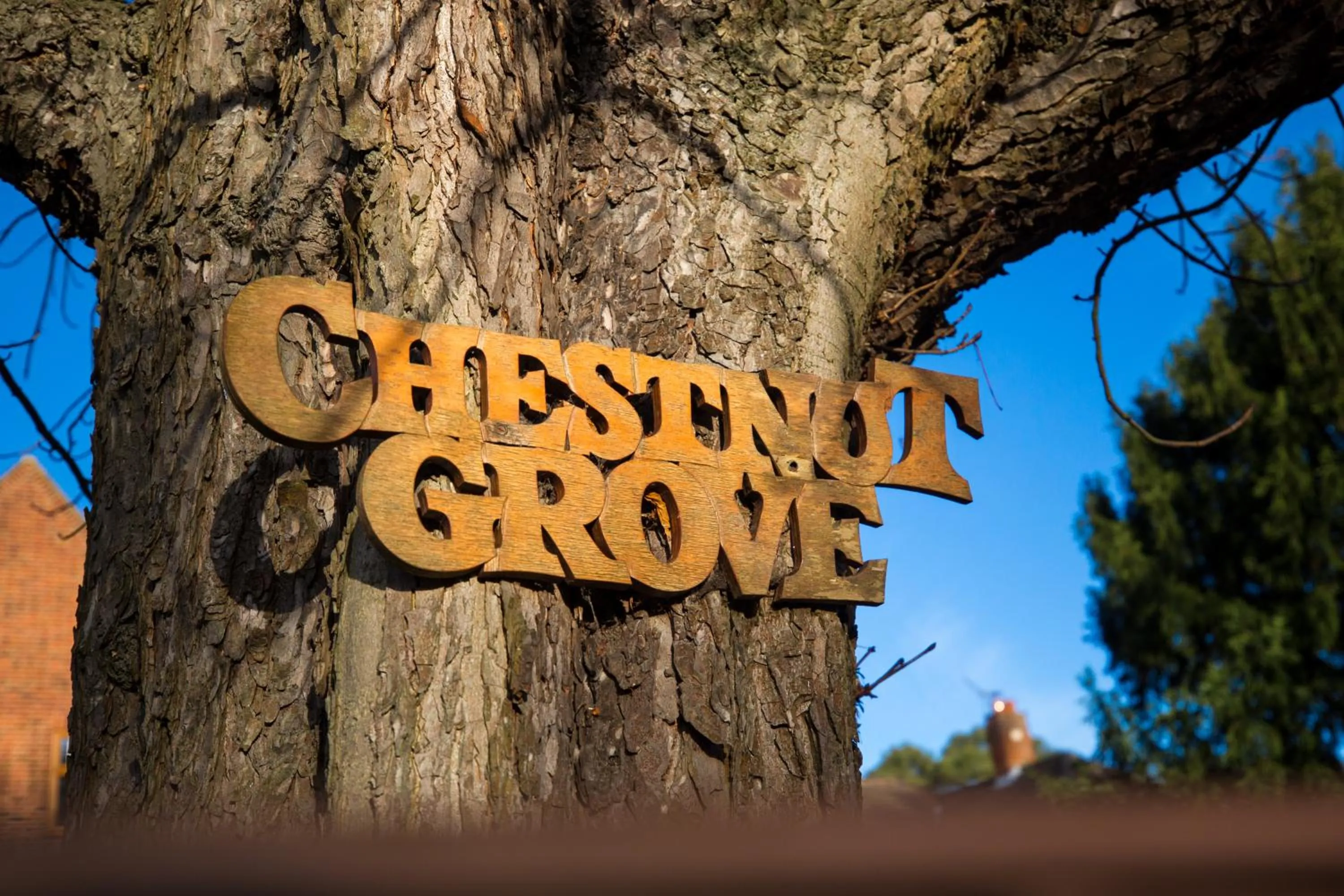 Chestnut Grove Bed And Breakfast