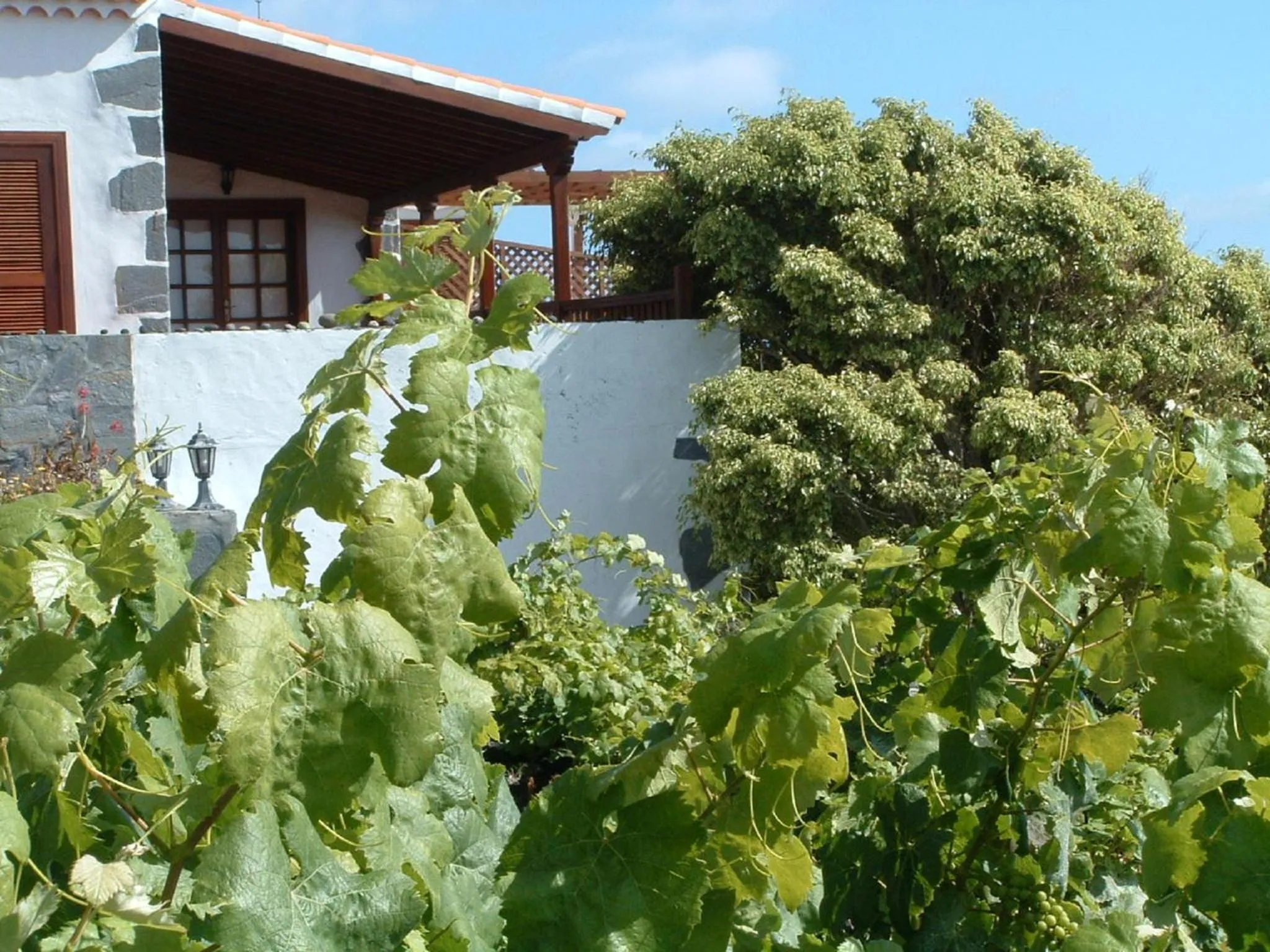 Casa las Las Viñas