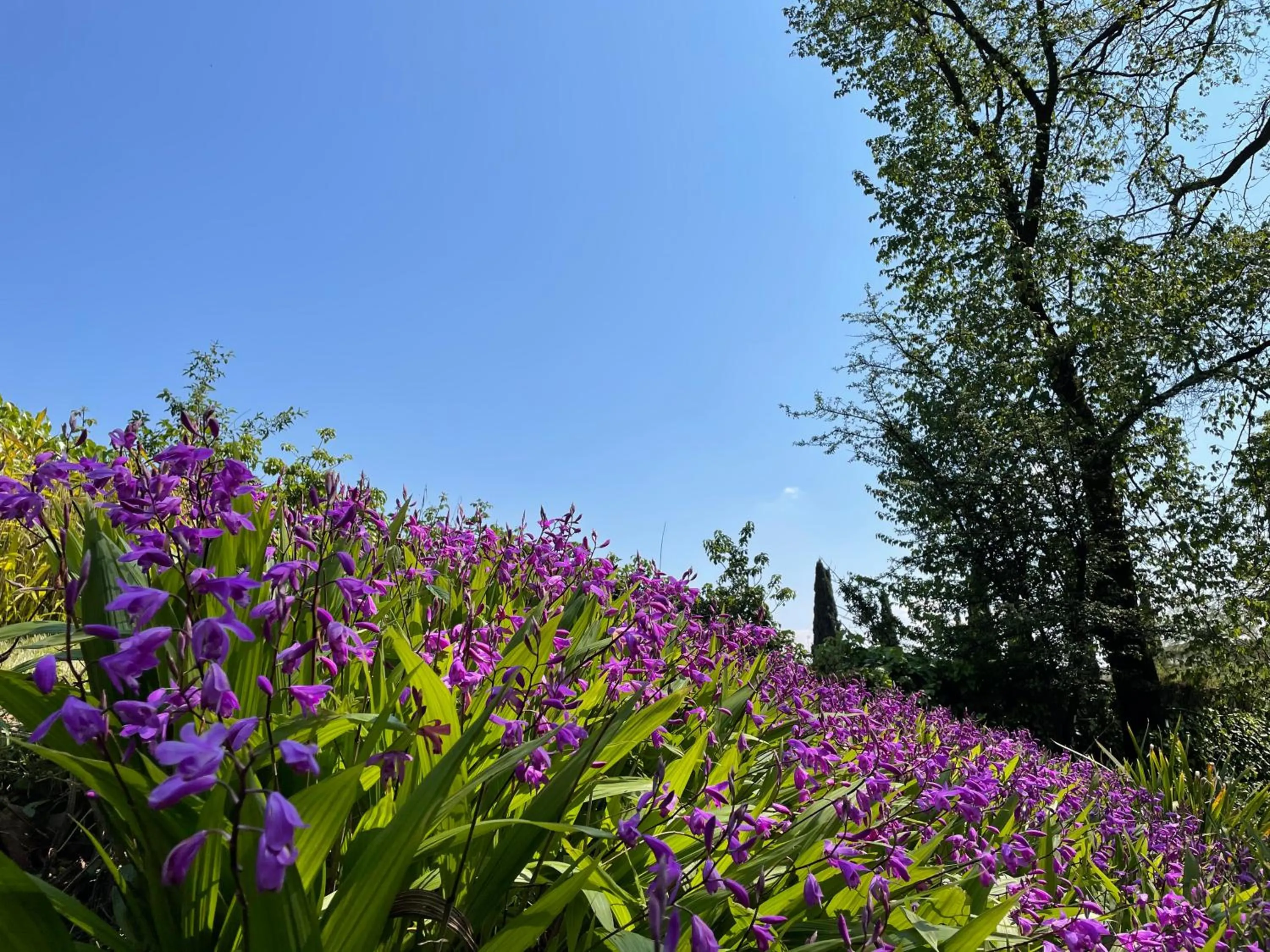Il mulino di Trastevere - My Extra Home