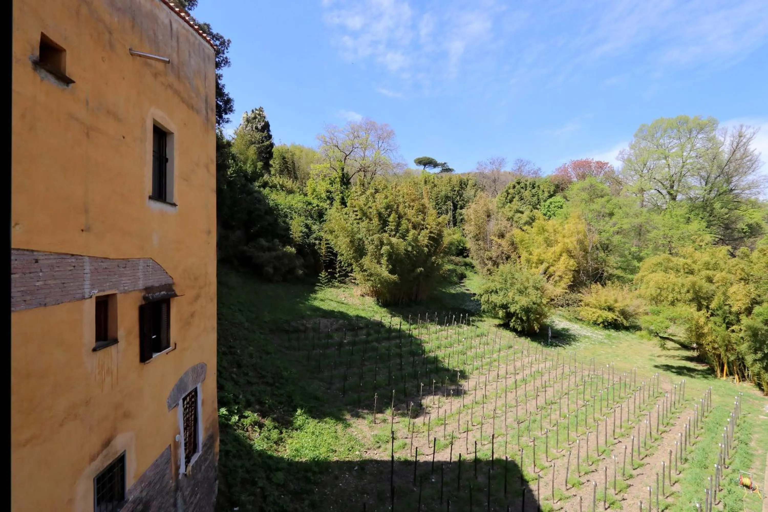 Il mulino di Trastevere - My Extra Home