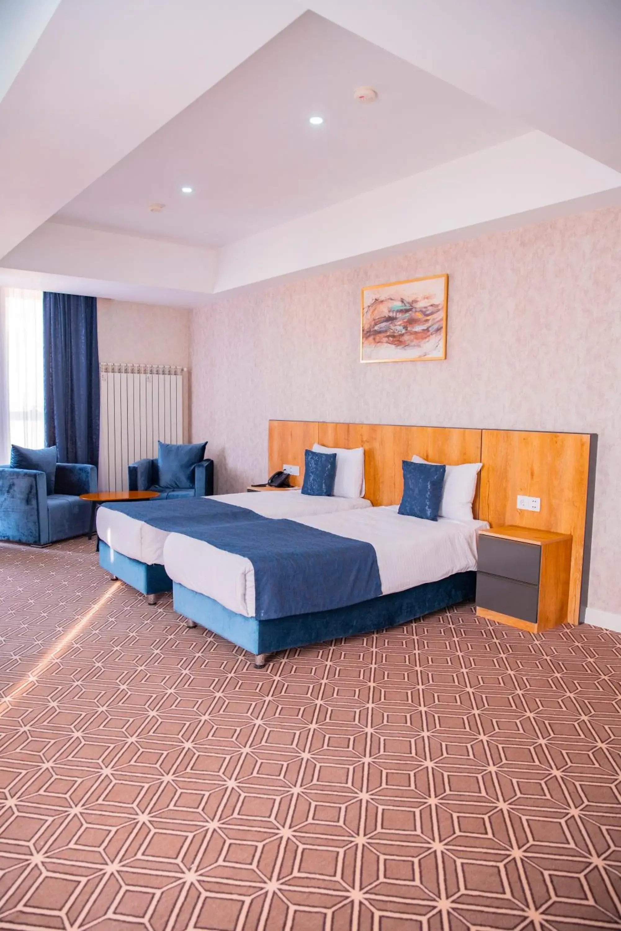 Arion Hotel Baku Arion Hotel Baku