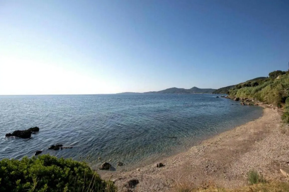 Beach in Aurora Beach Hotel