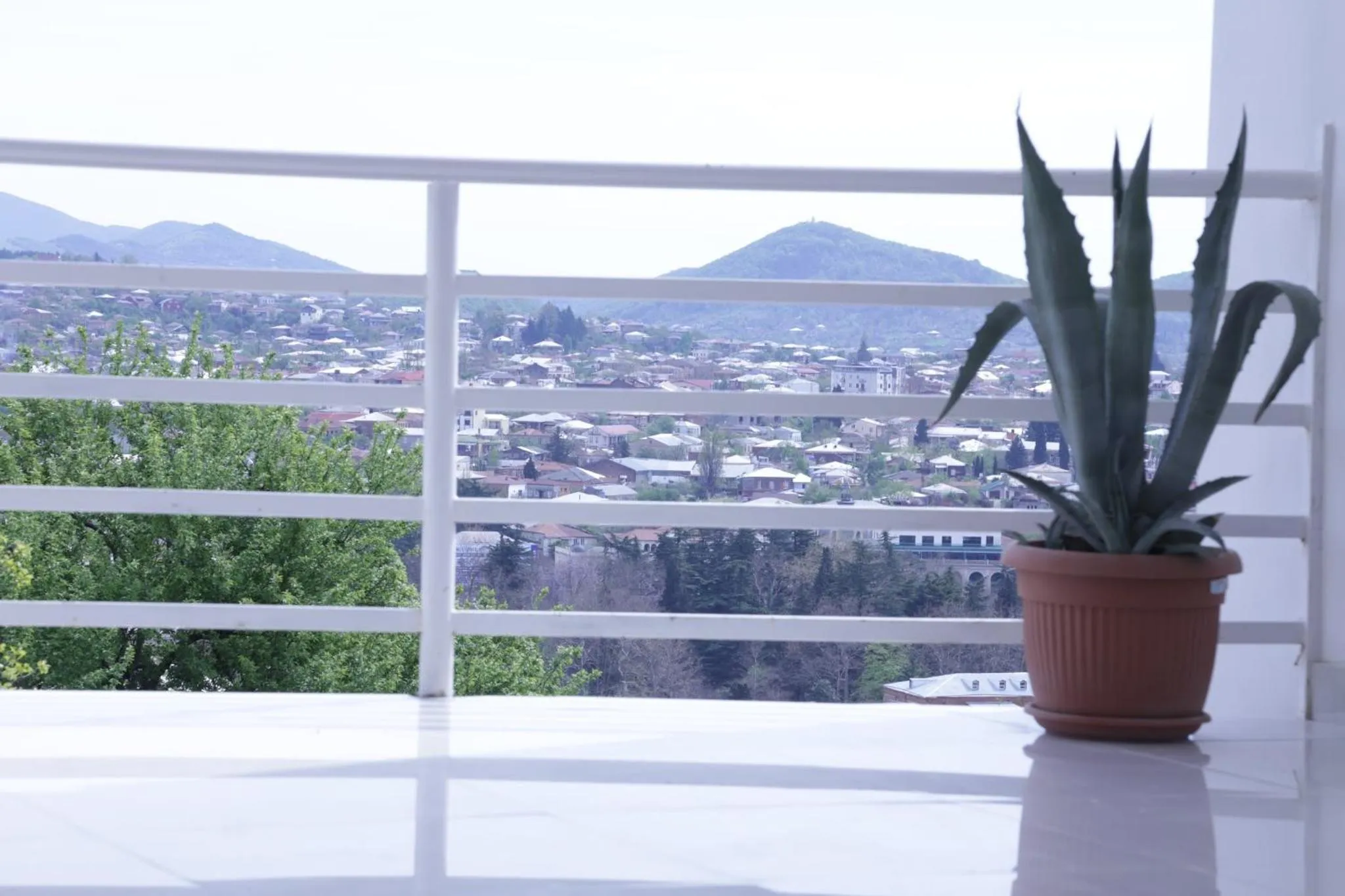 View (from property/room) in Hotel Gora