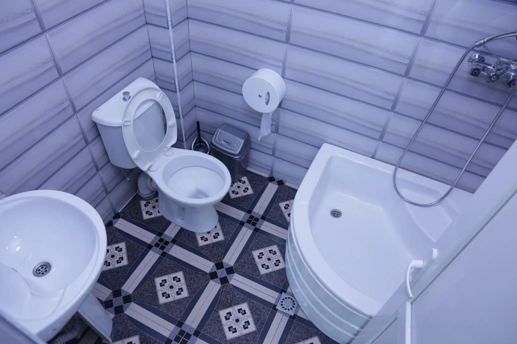 Bathroom in Hotel Gora