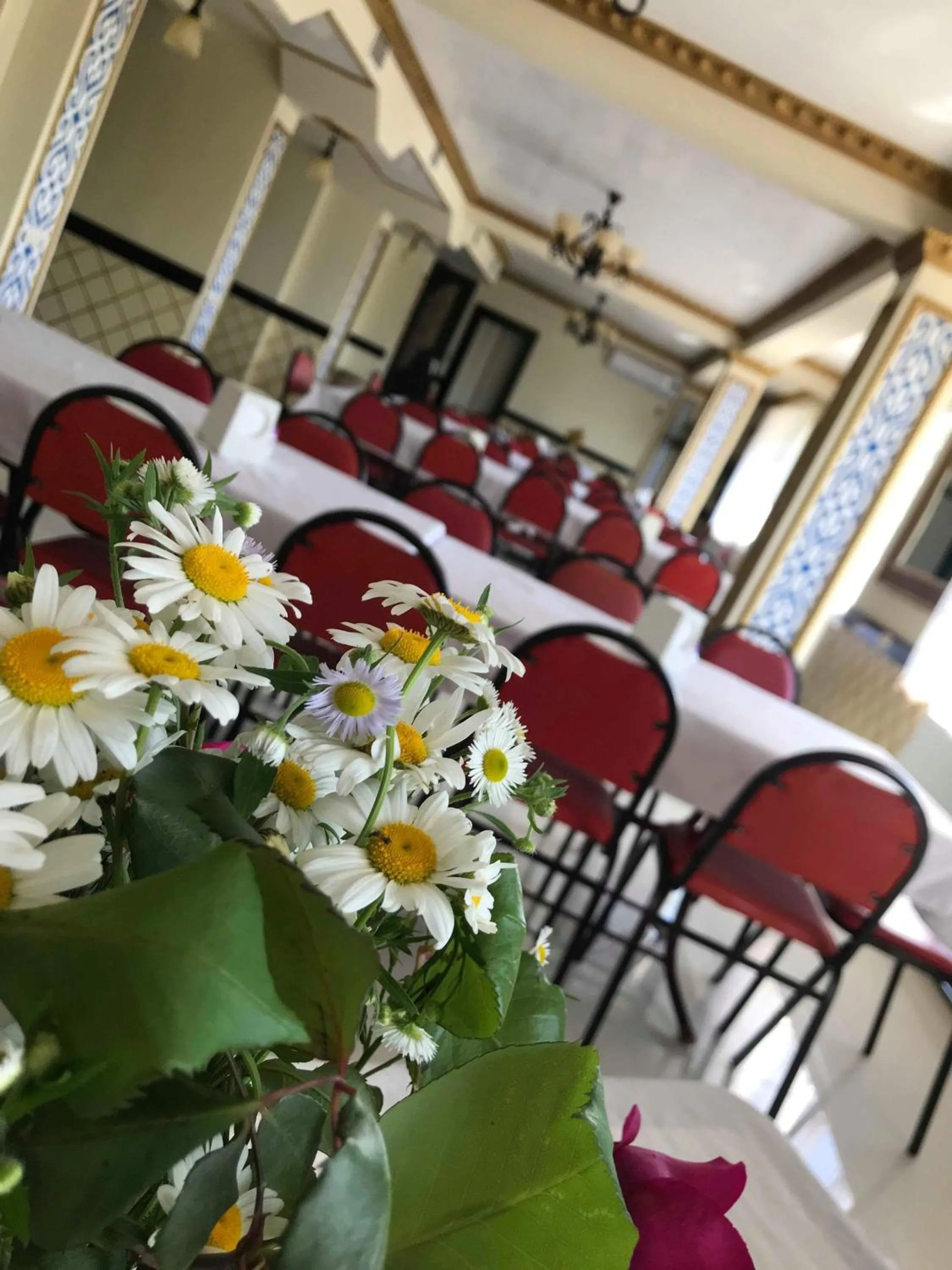 Restaurant/places to eat in Hotel Gora