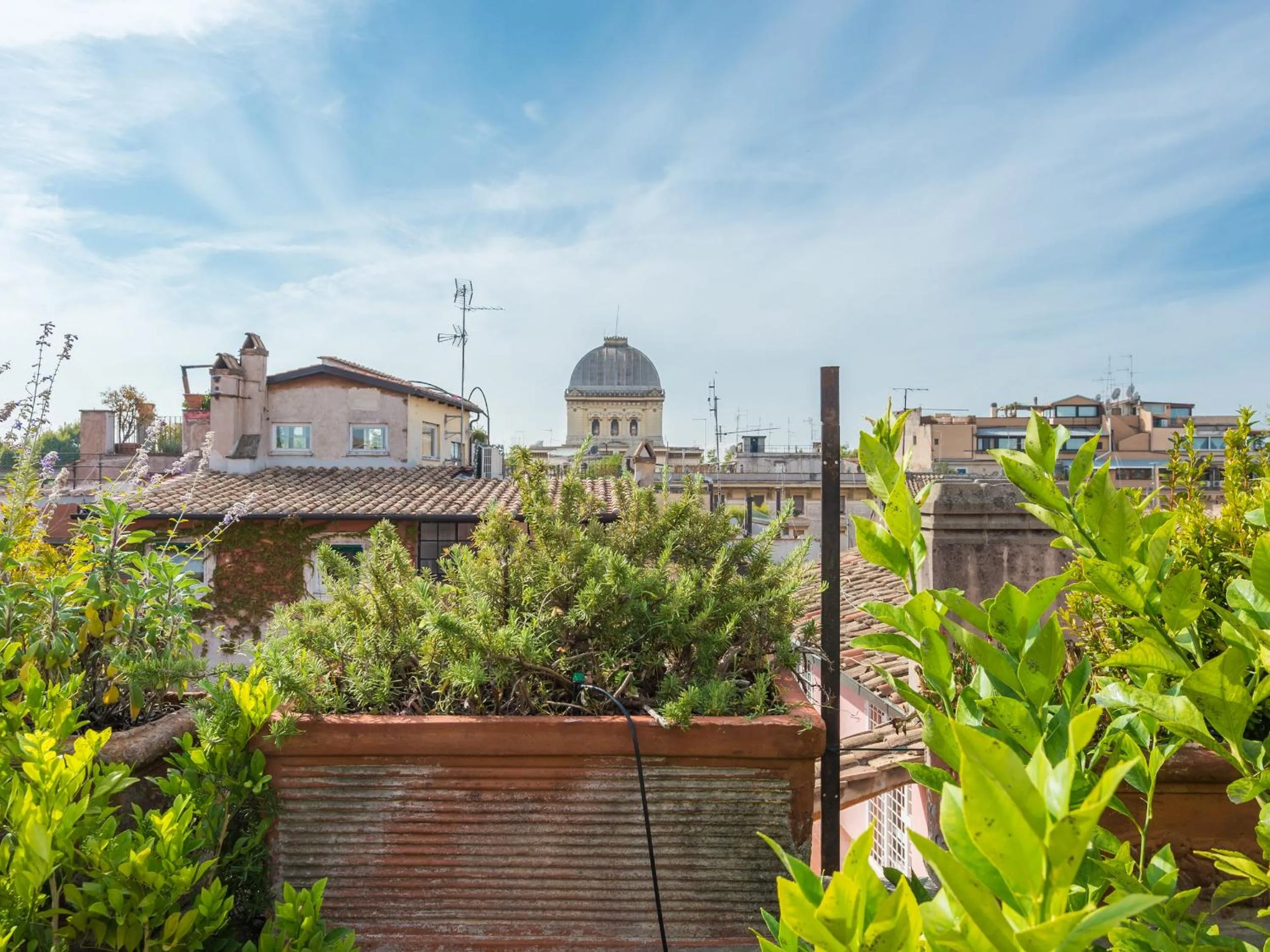 Piazza Lovatelli Luxury Penthouse