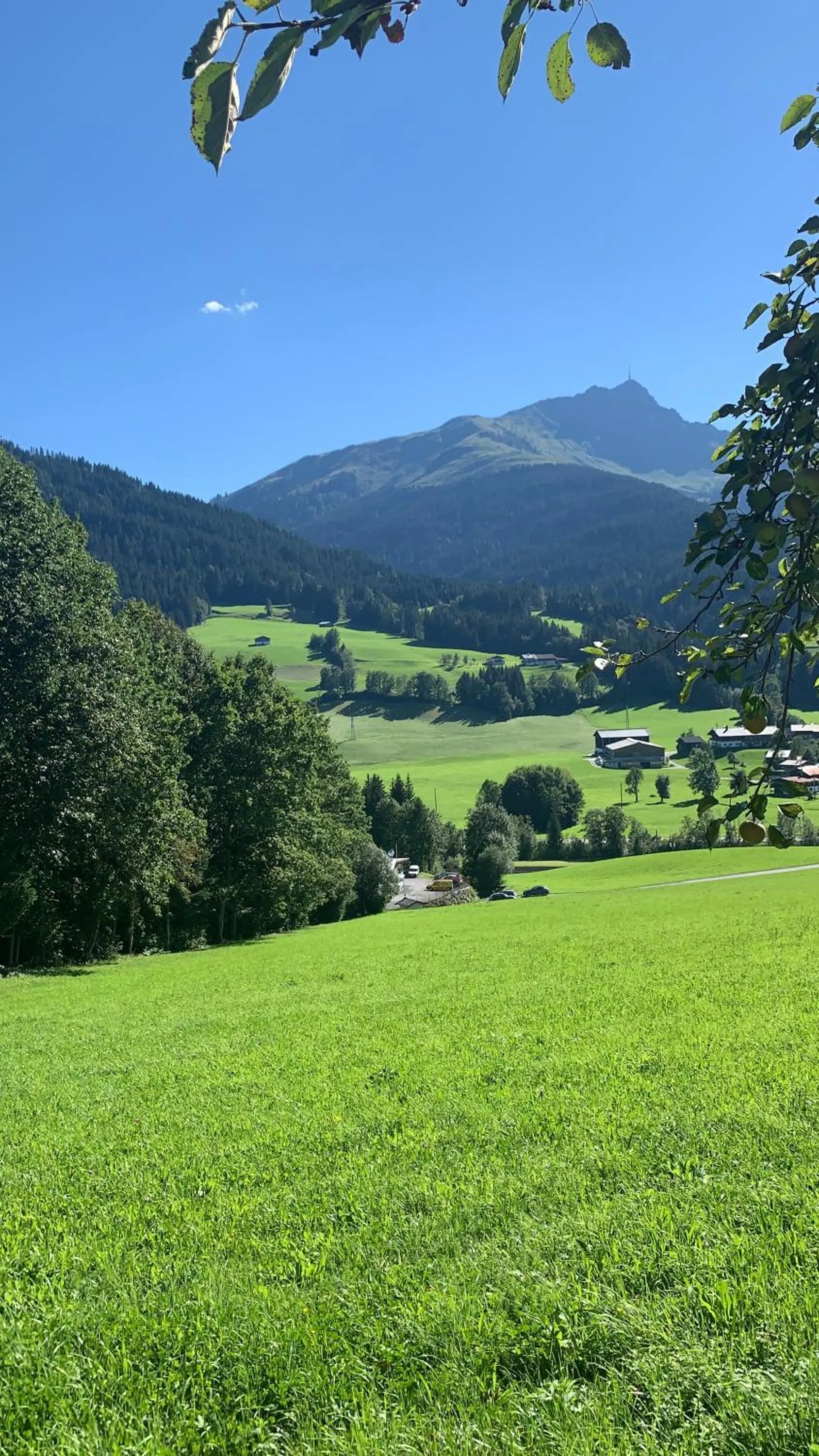 Natural landscape in Sunnseit Lodge - Kitzbüheler Alpen