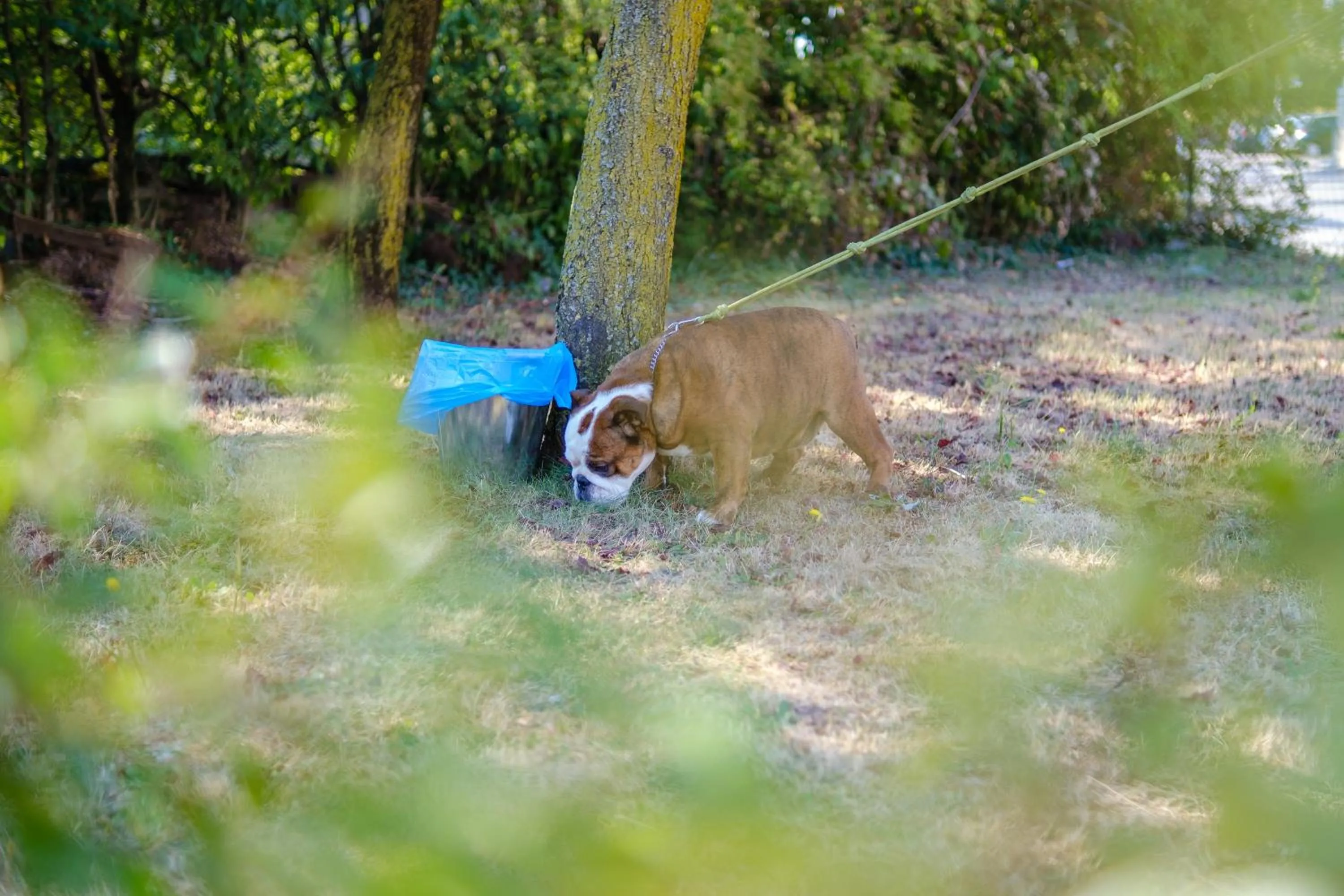 Hotel Ristorante Brusco