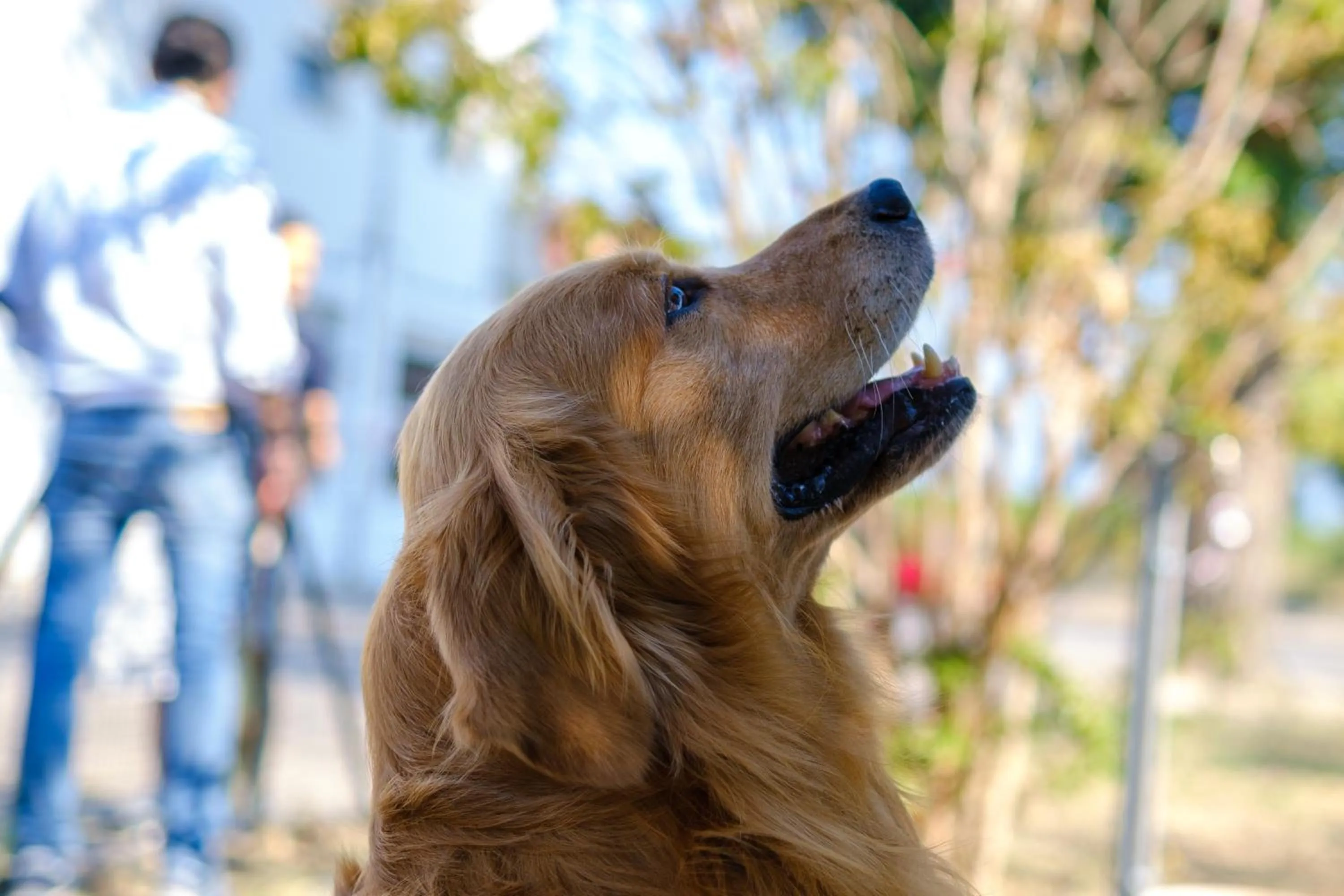 Hotel Ristorante Brusco