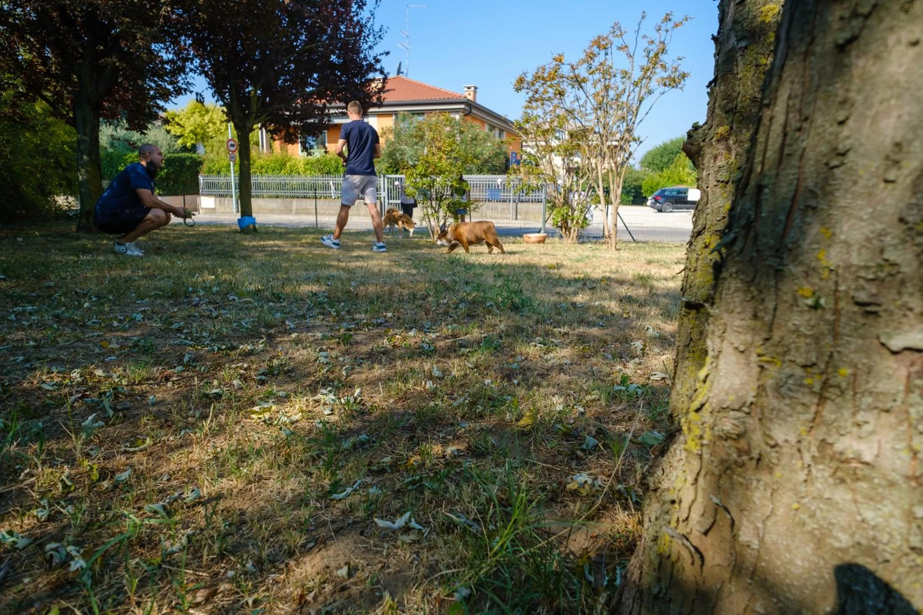 Hotel Ristorante Brusco