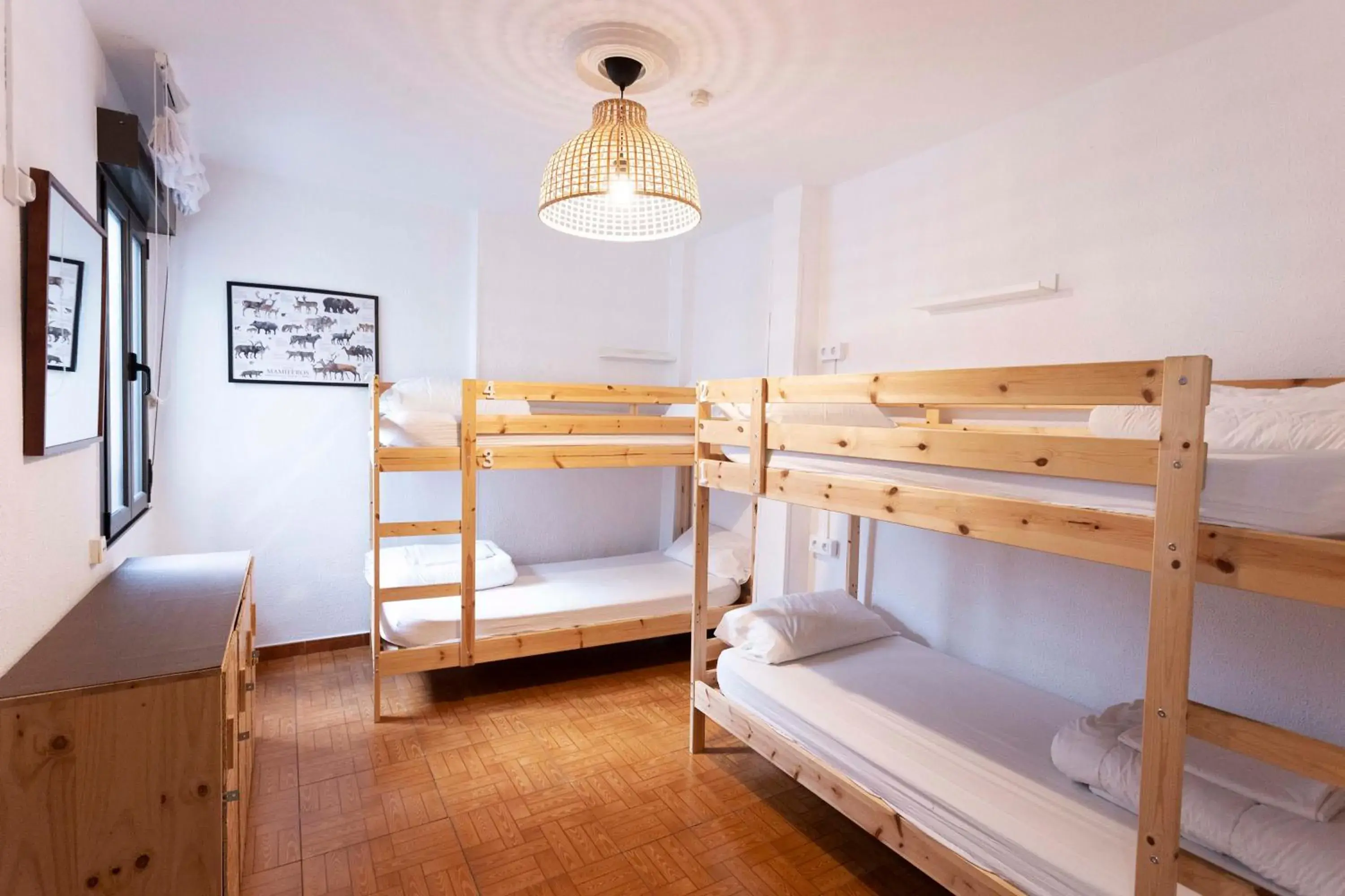 Bed in 4-Bed Mixed Dormitory Room in Green Hostel Oviedo Bed in 4-Bed Mixed Dormitory Room in Green Hostel Oviedo