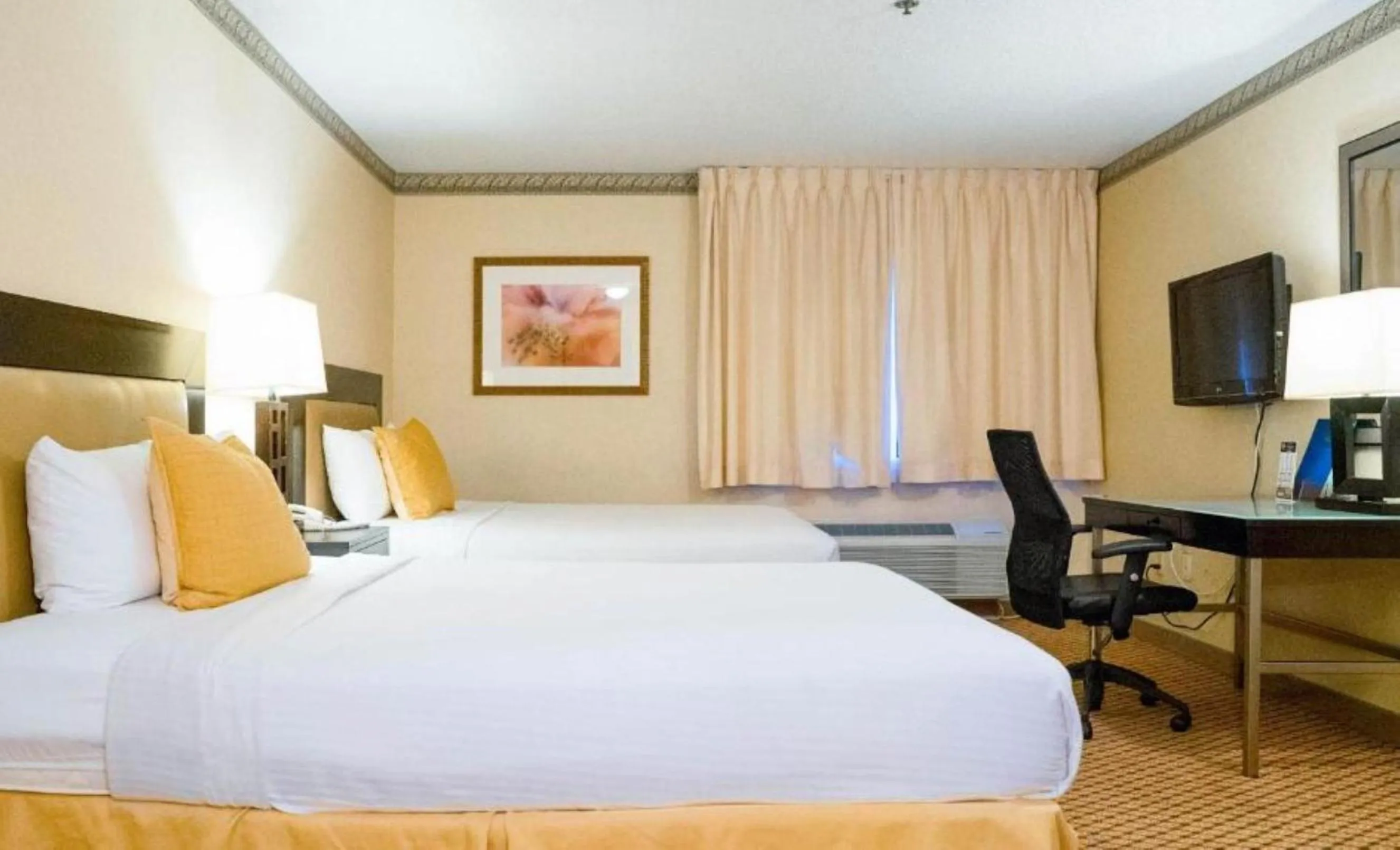 Bedroom, Bed in Studio 6 Anaheim Hills CA