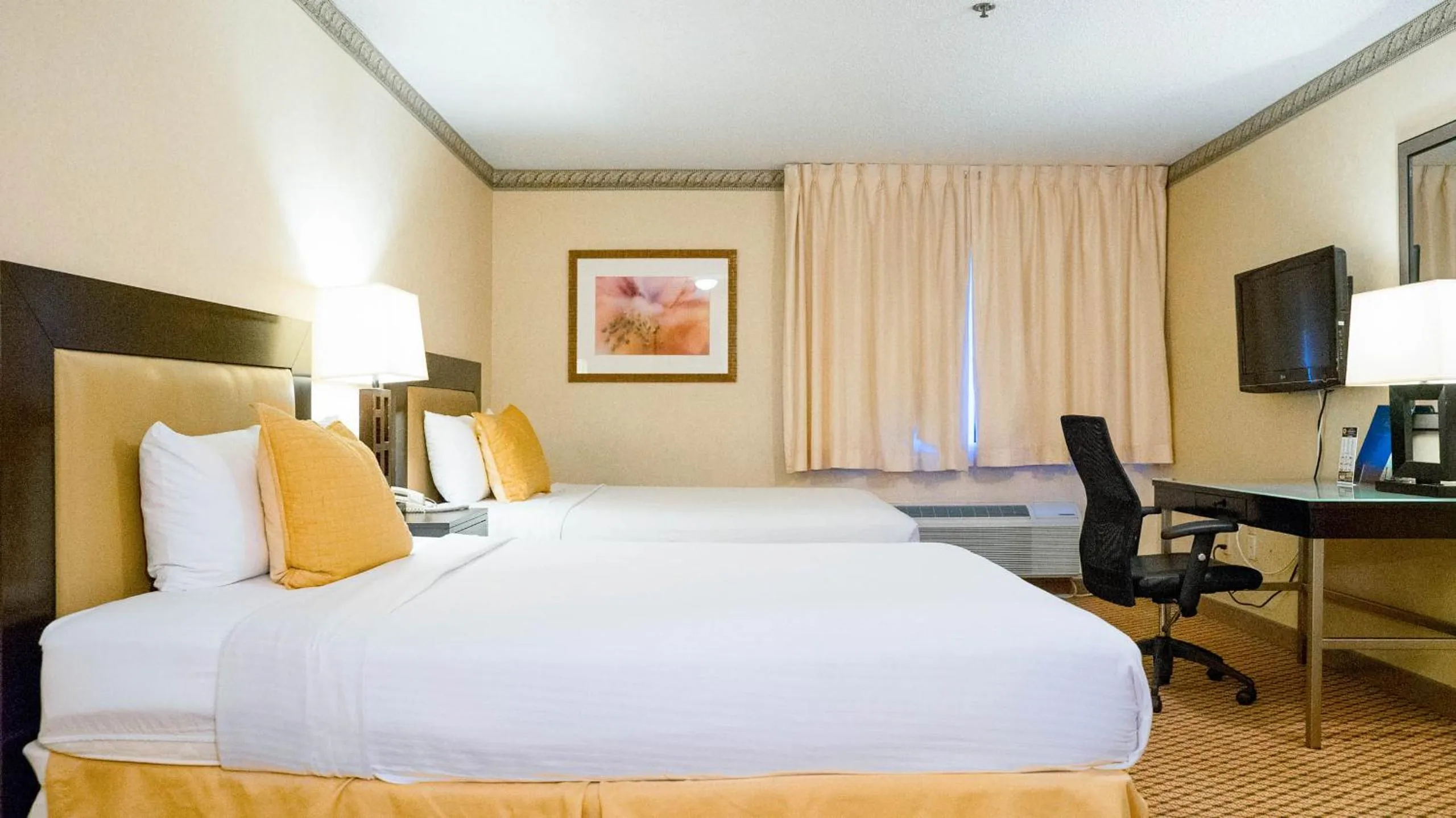 Bedroom, Bed in Studio 6 Anaheim Hills CA