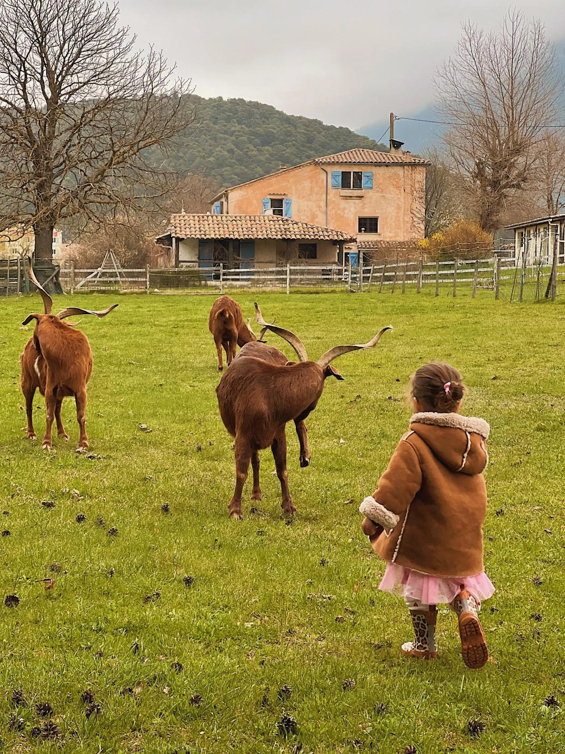 Property building in La Bastide des Pins