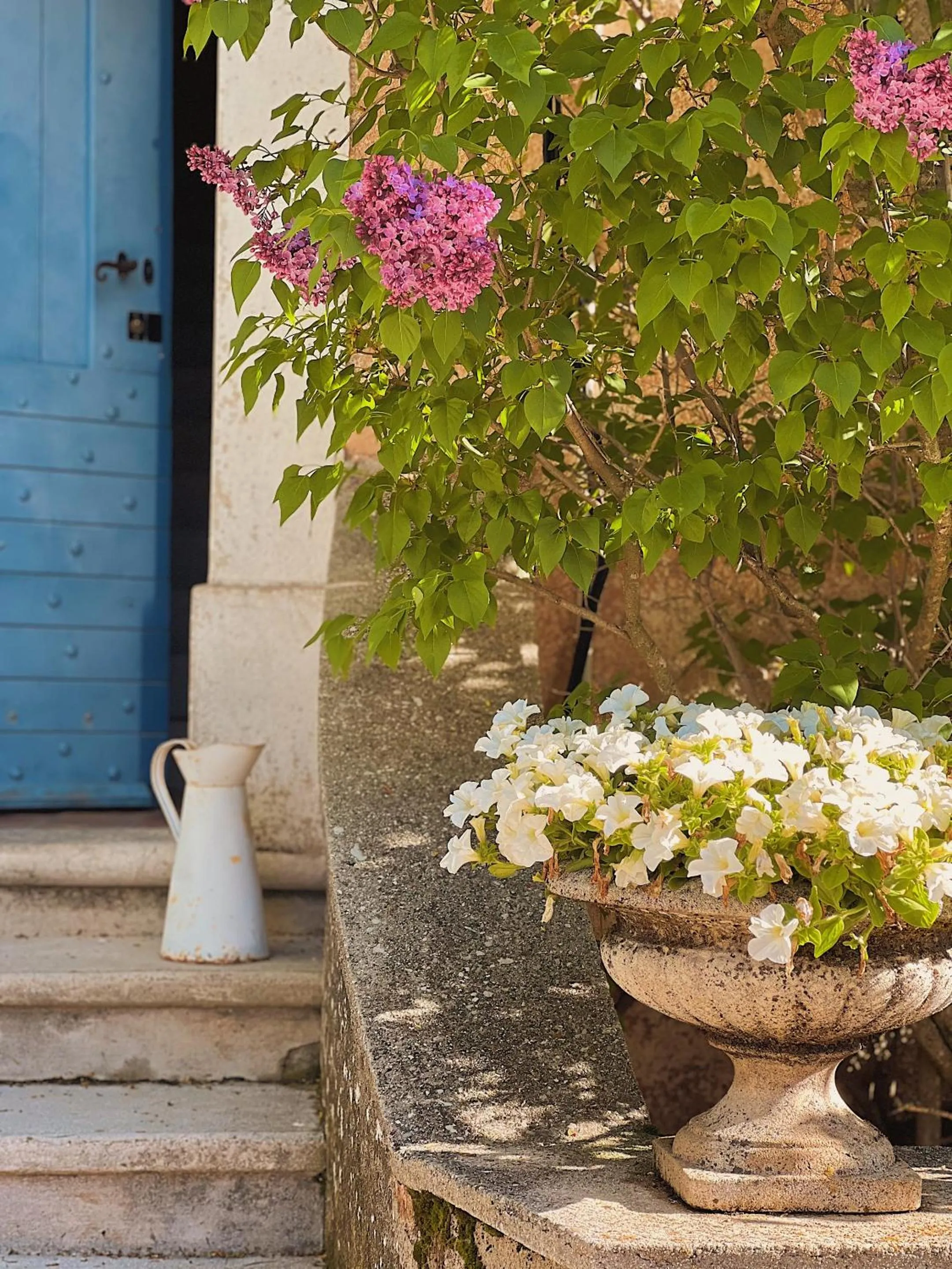 Other in La Bastide des Pins