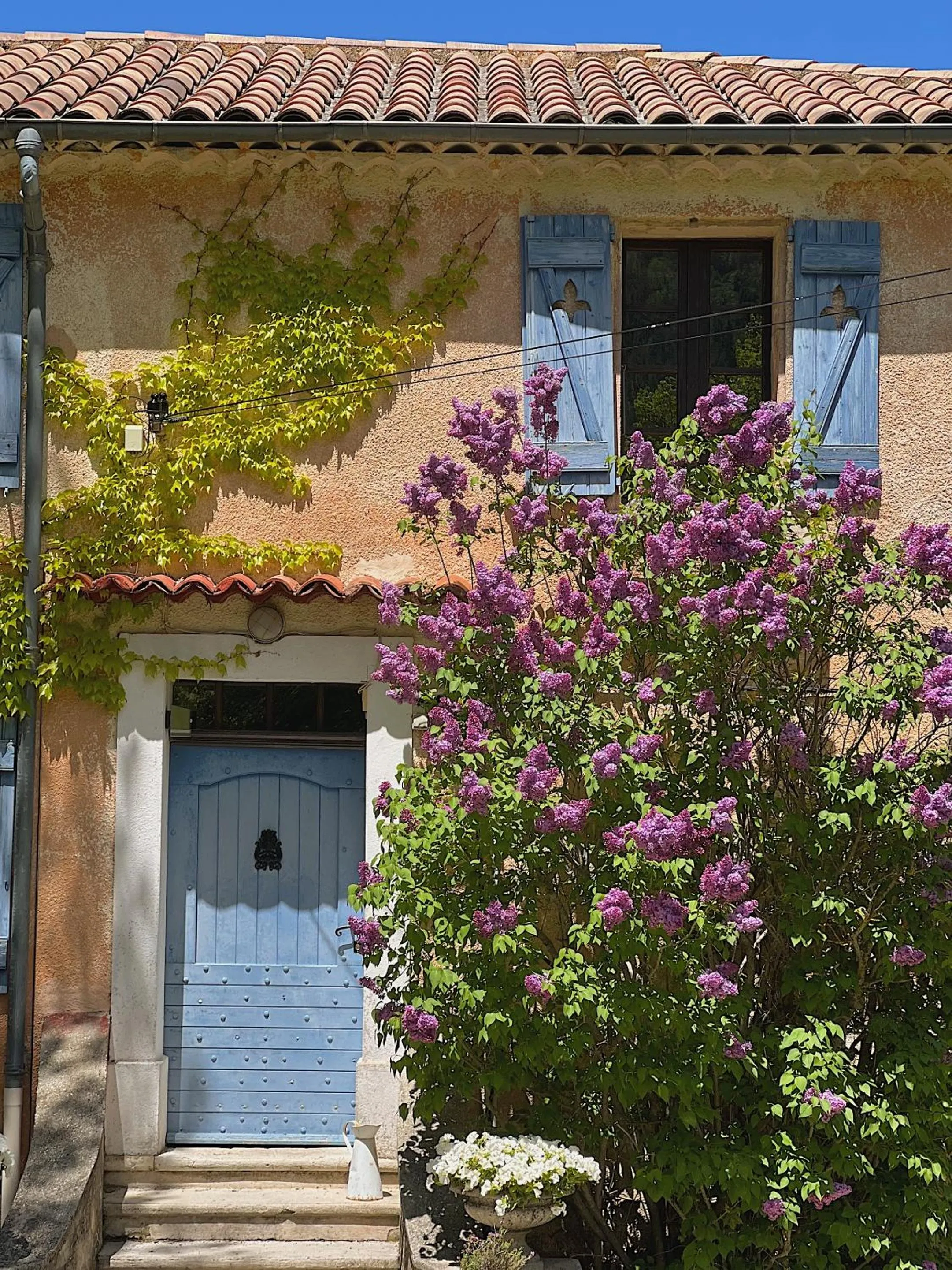 Property building in La Bastide des Pins