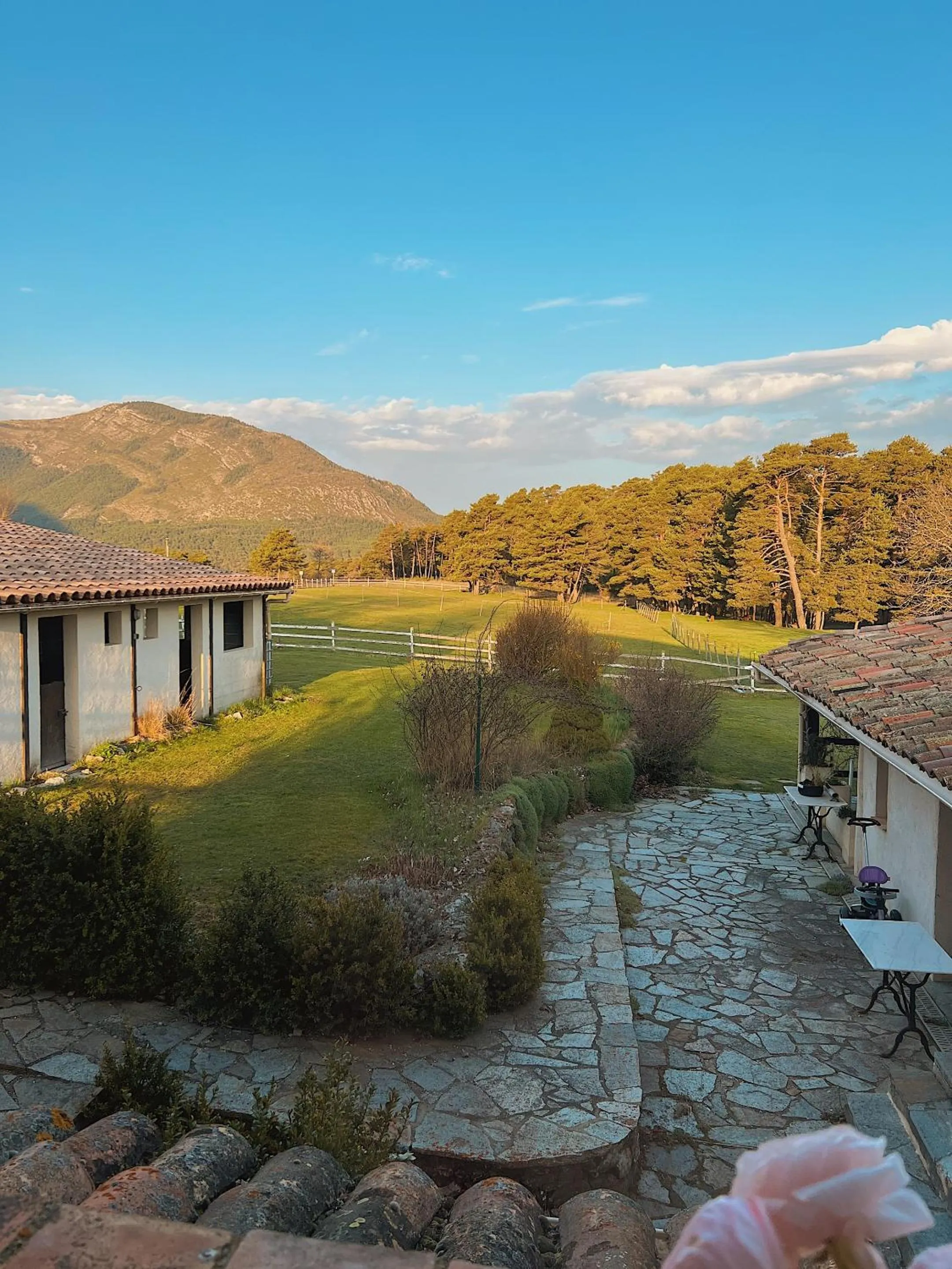 View (from property/room) in La Bastide des Pins