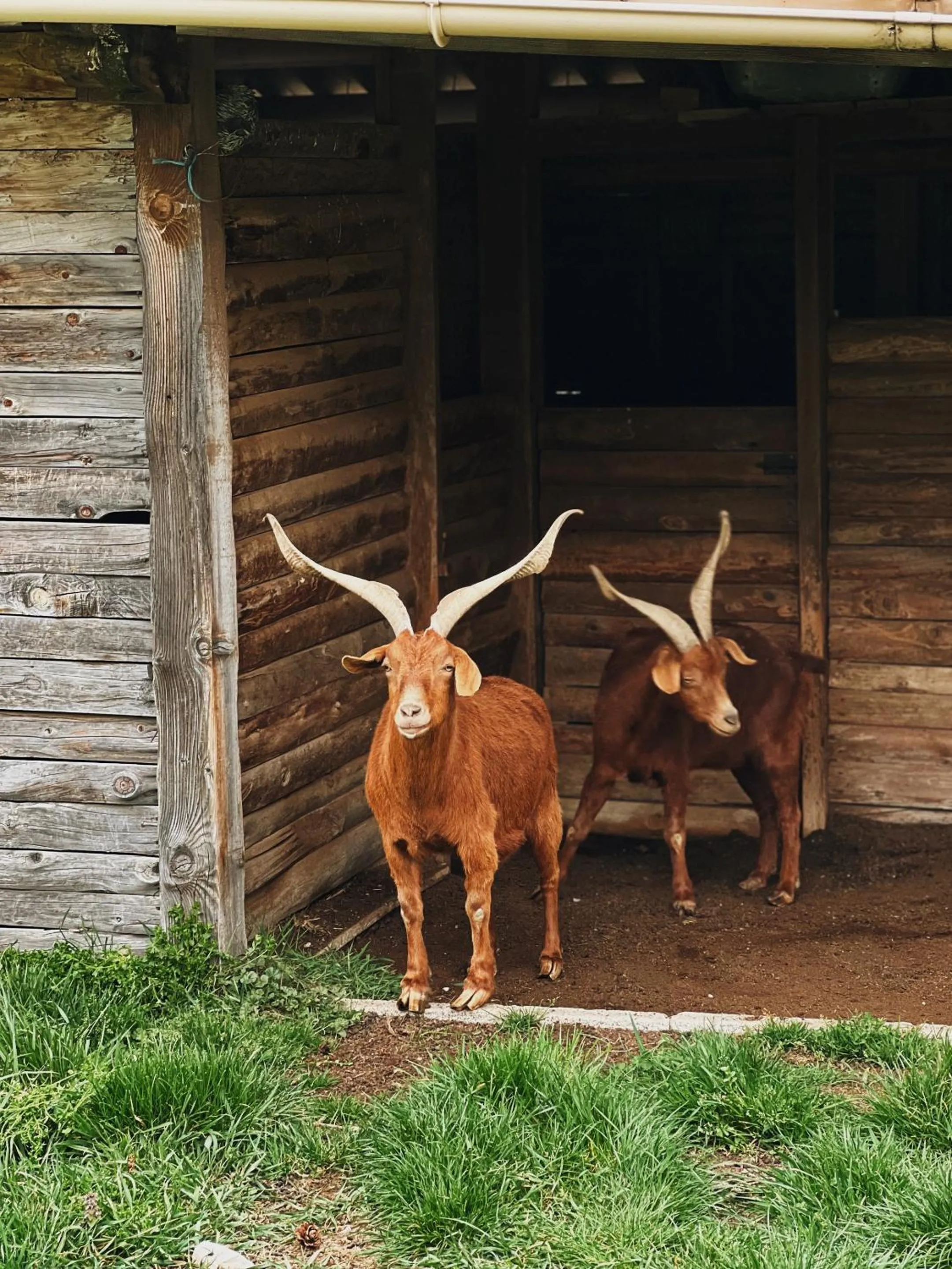 Other in La Bastide des Pins
