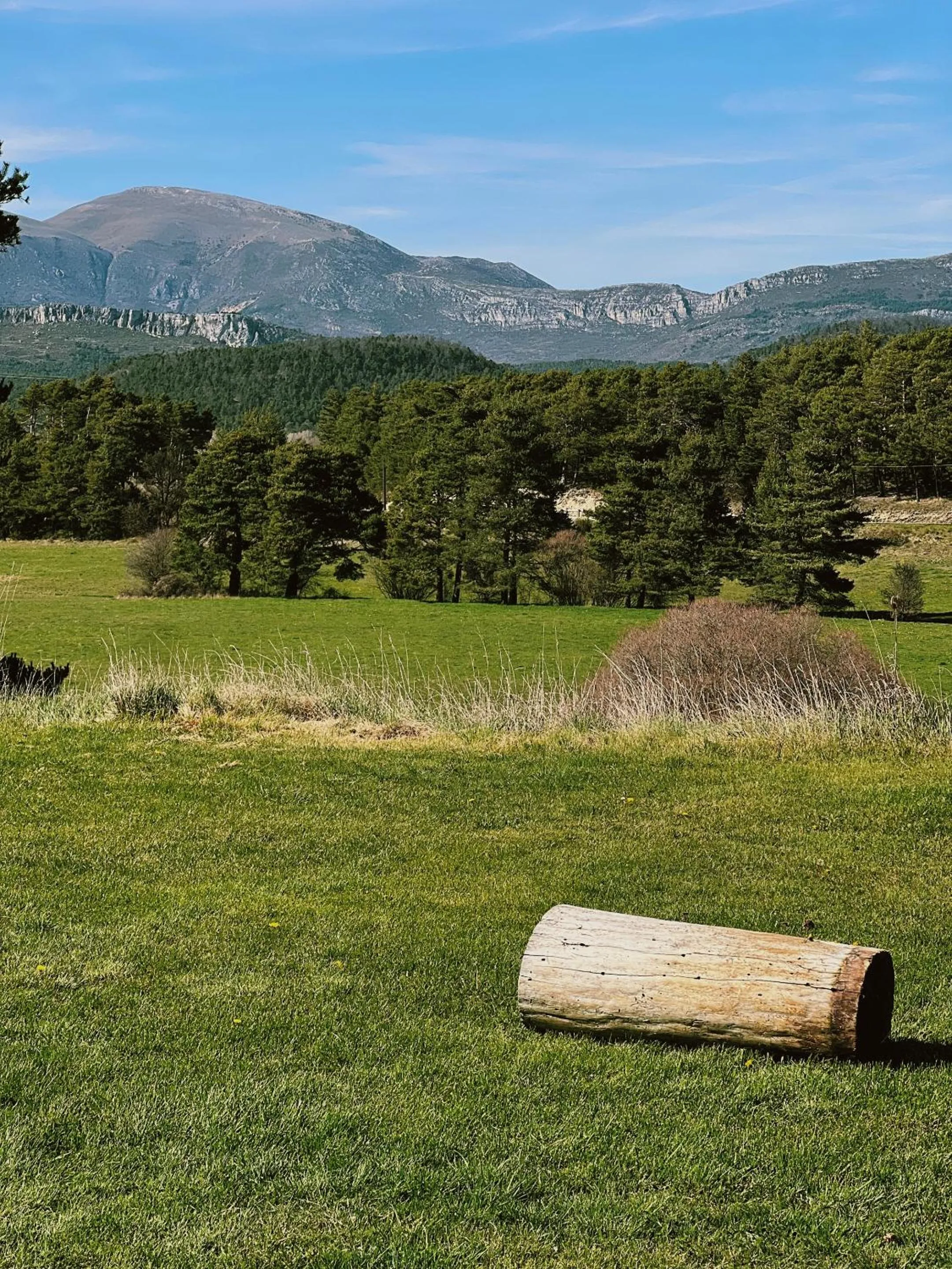 Garden in La Bastide des Pins