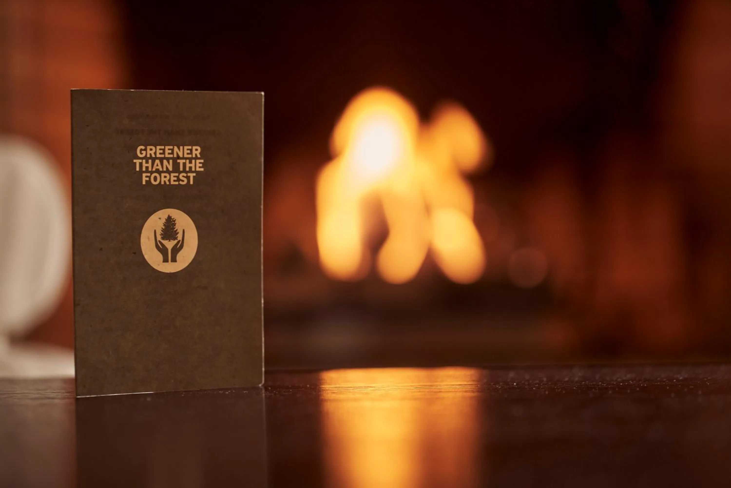 Grand Forest Metsovo - Leading Hotels of the World