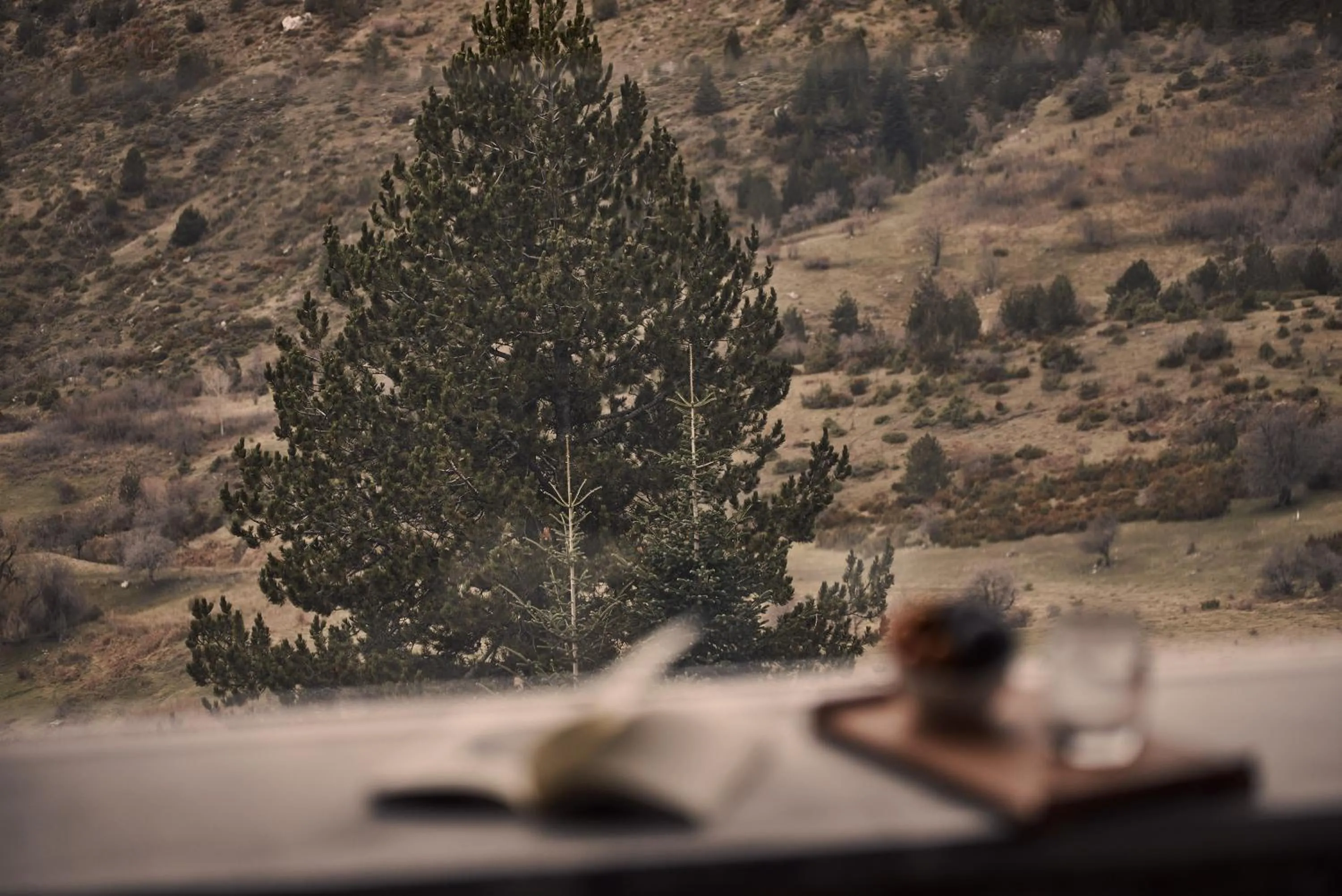 Natural landscape in Grand Forest Metsovo - Leading Hotels of the World