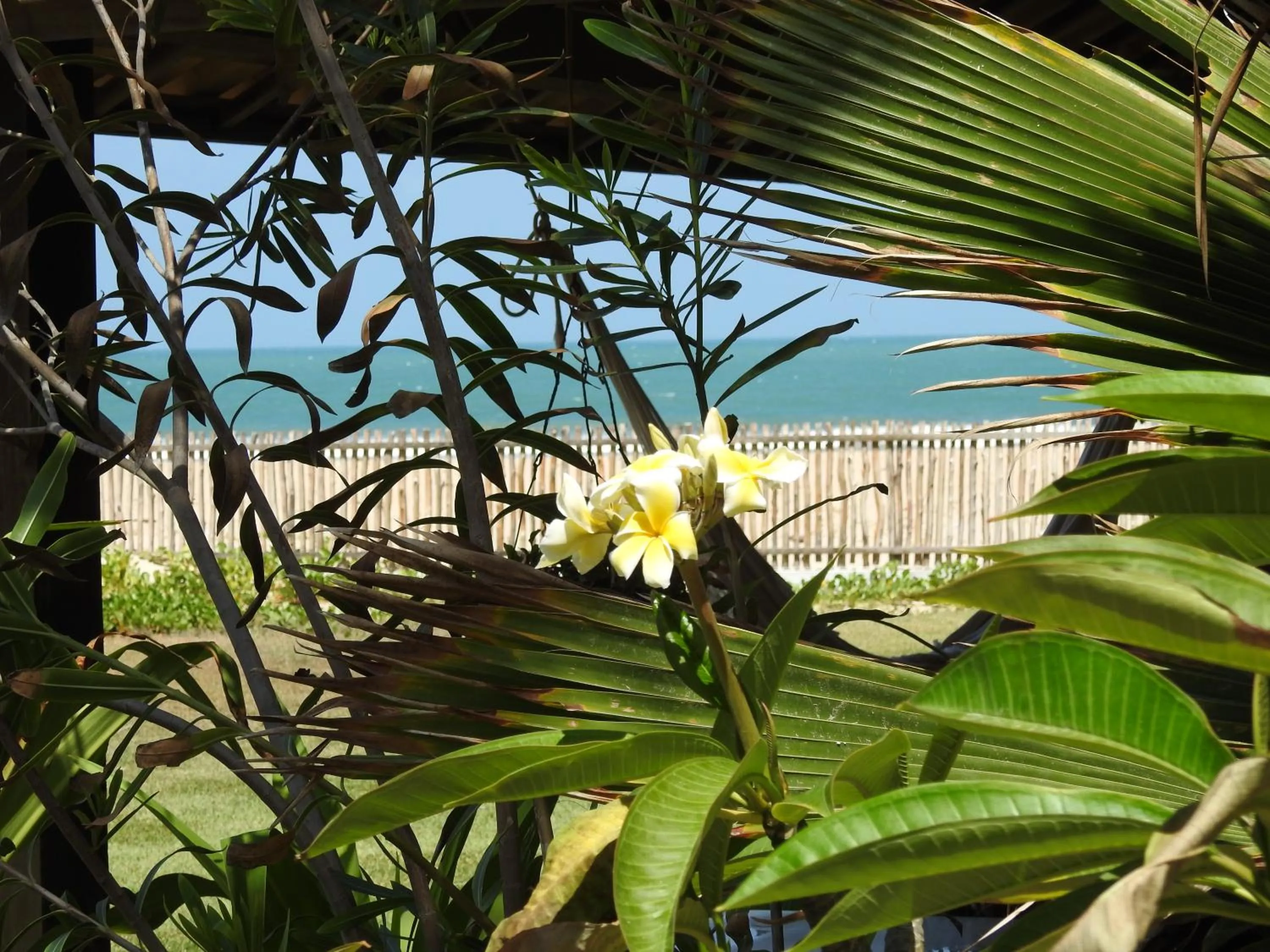 Decorative detail in Vila Vagalume