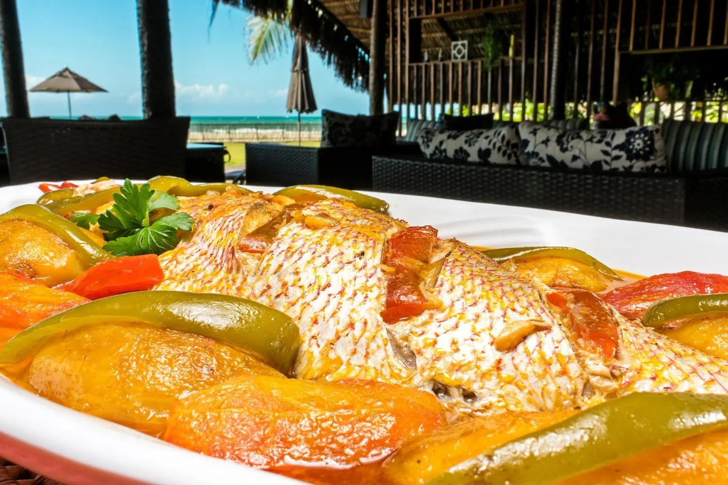 Restaurant/places to eat in Vila Vagalume