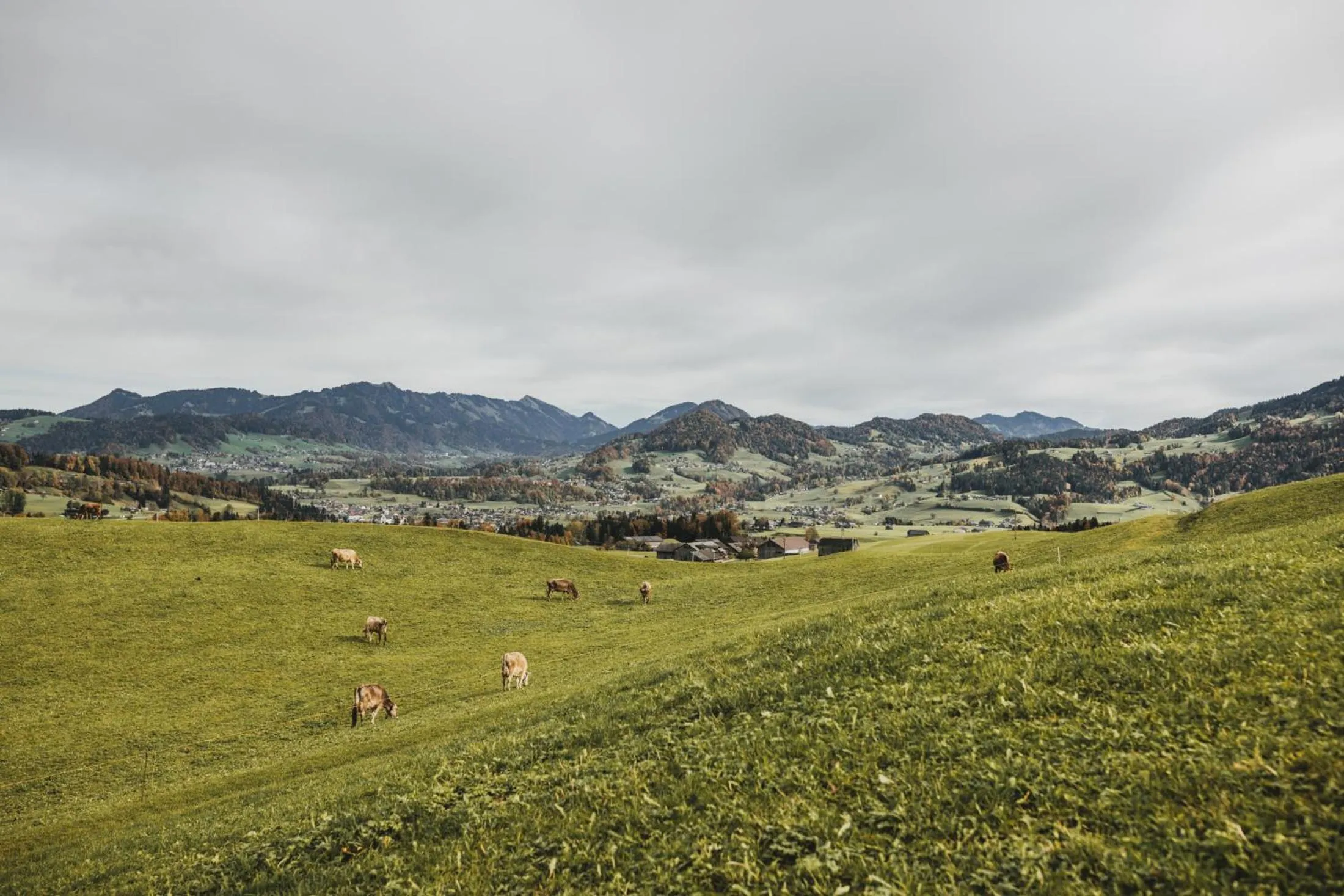 Gasthof Hirschen Schwarzenberg