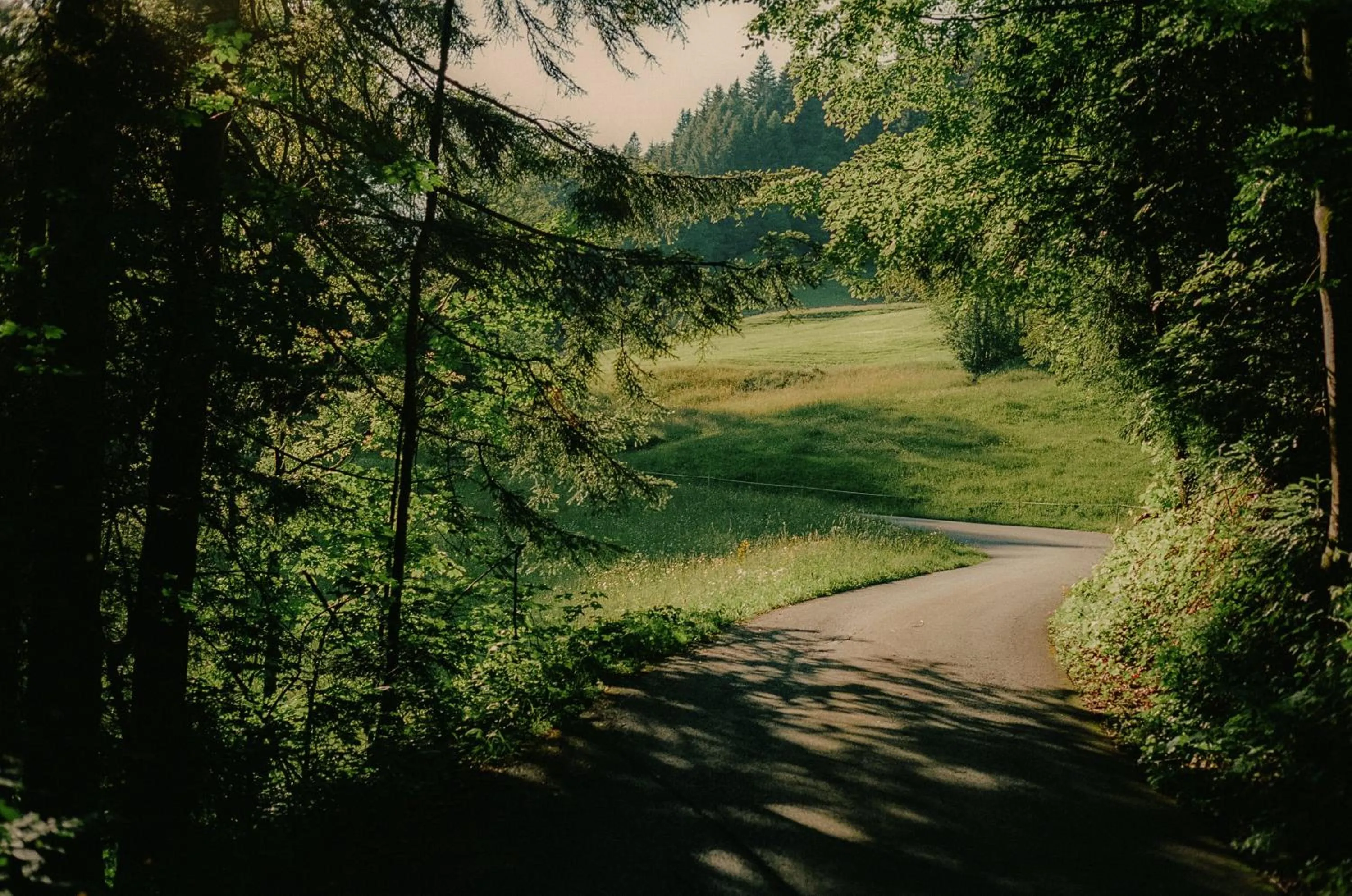 Hirschen - Fine Hotel, Restaurant & Spa