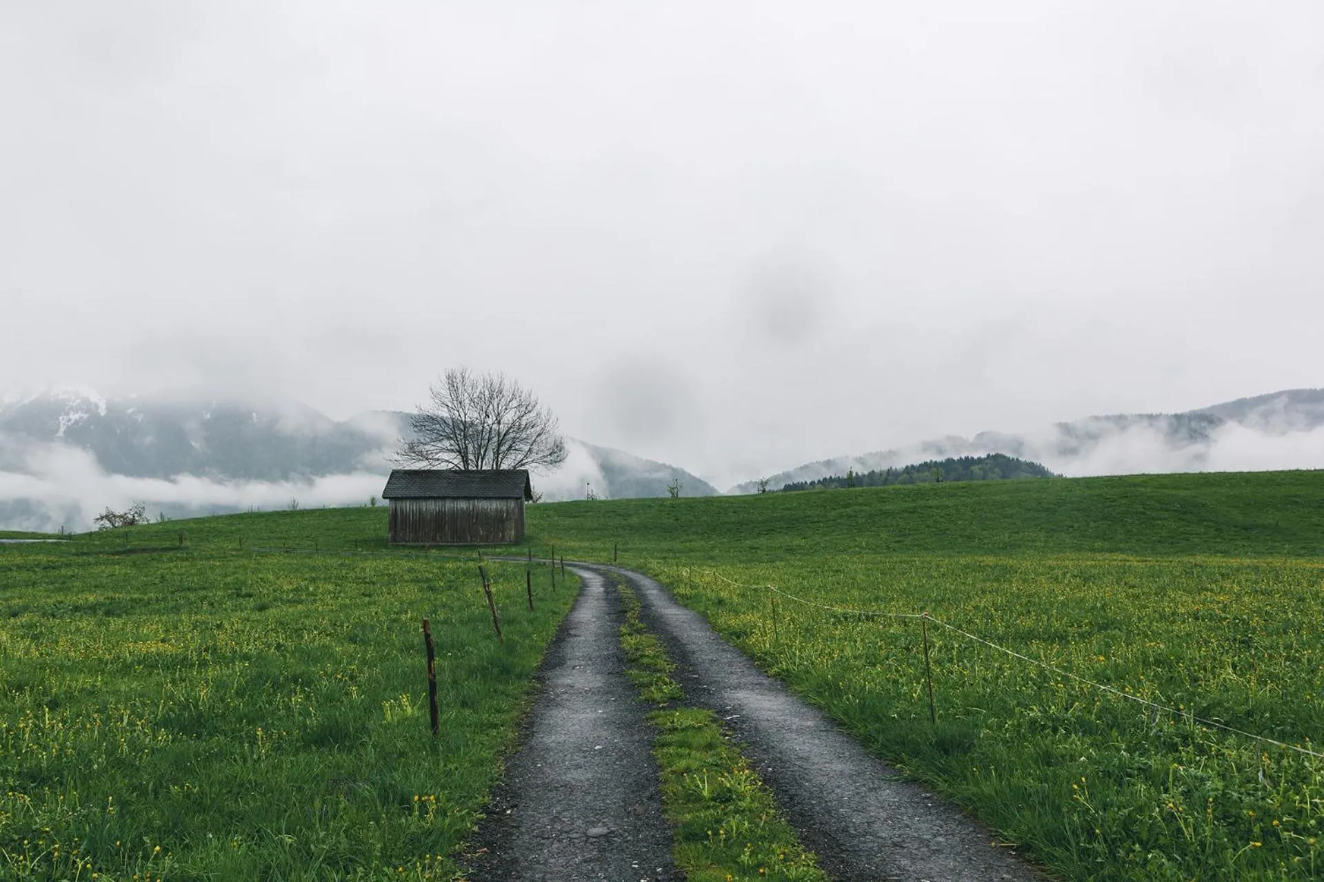 Natural Landscape in Gasthof Hirschen Schwarzenberg