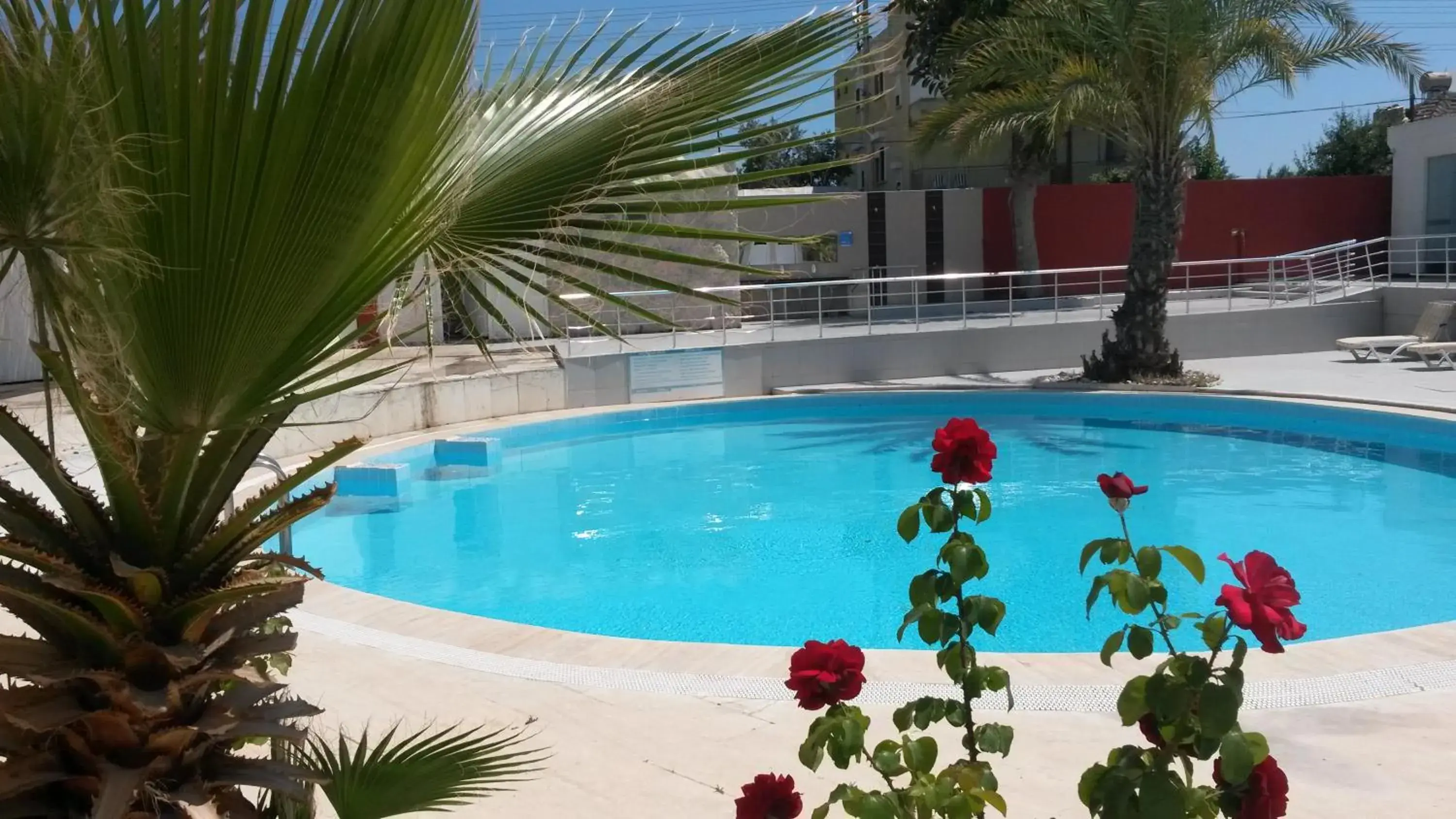 Pool view, Swimming Pool in Winecity Hotel Pool view, Swimming Pool in Winecity Hotel