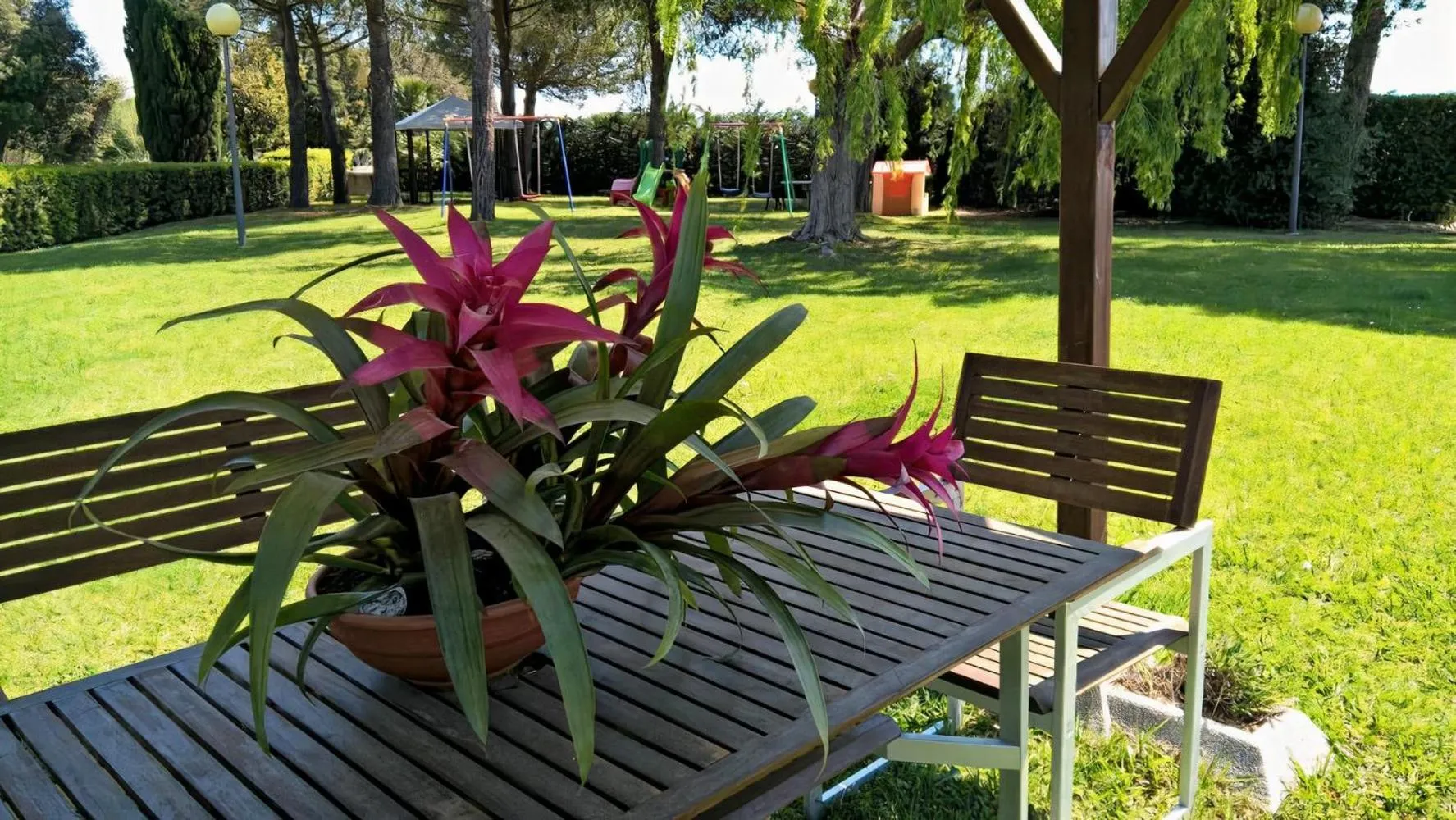Patio in Hotel Riva Etrusca