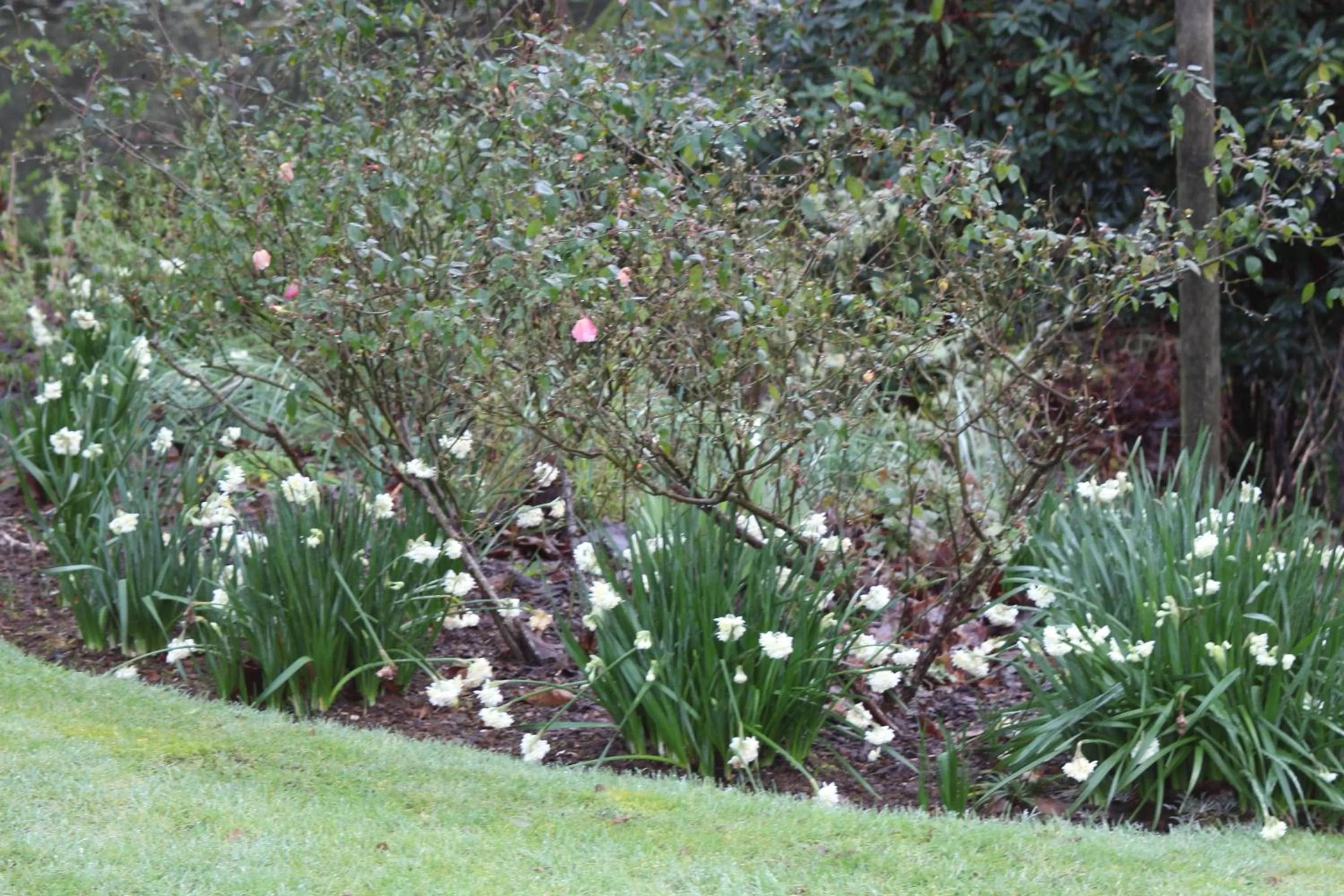 Garden view in Aramatai Gardens
