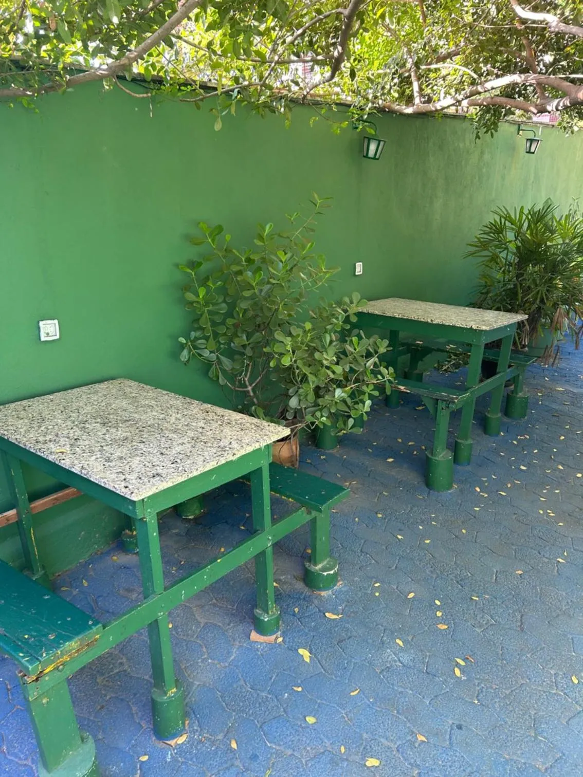 Garden in Onça da Praia Hostel