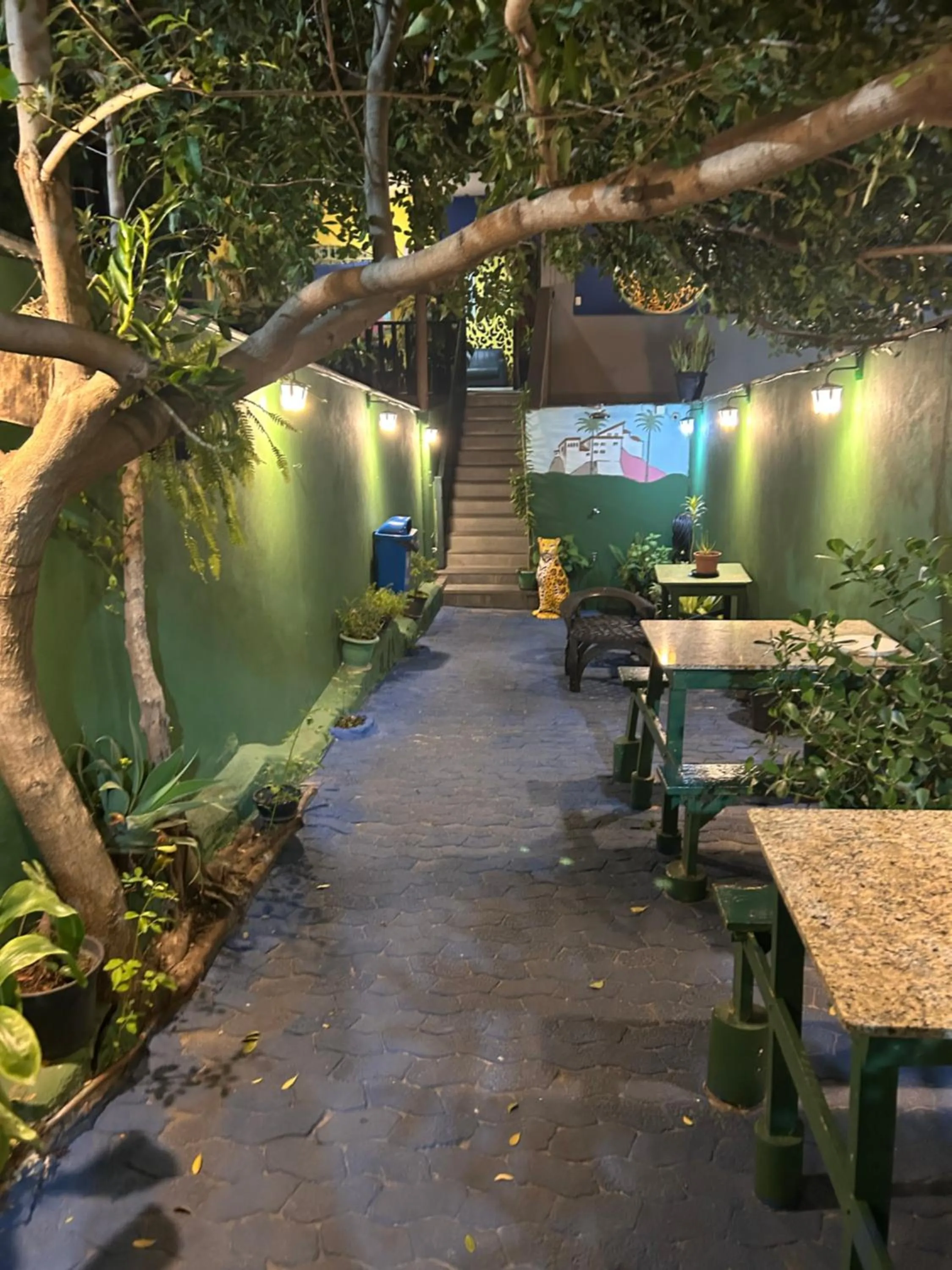 Garden in Onça da Praia Hostel