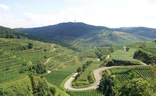 Day in Landgasthof zum Lamm