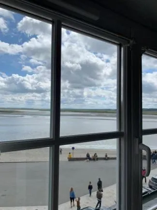 Les Mouettes Blessées