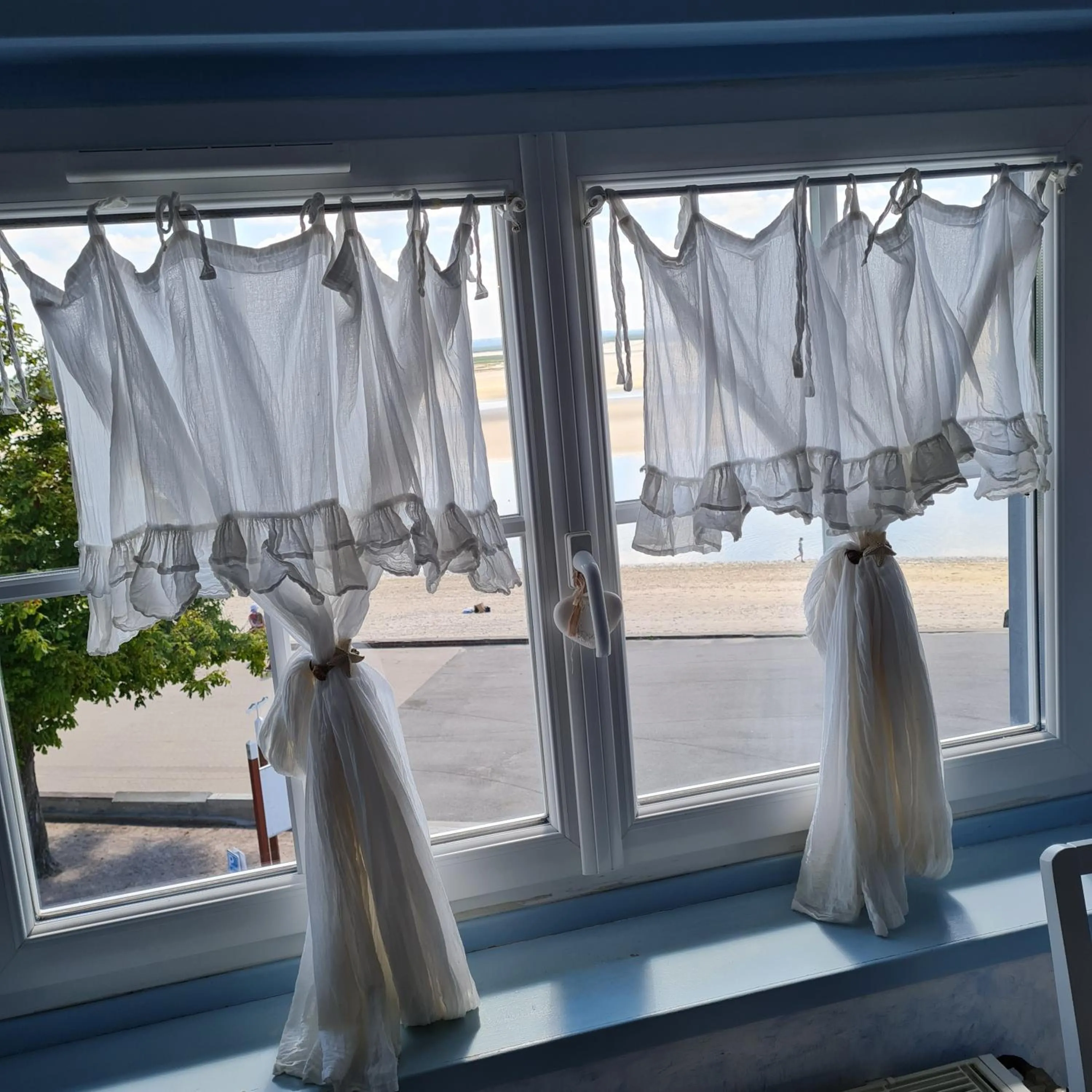 Les Mouettes Blessées