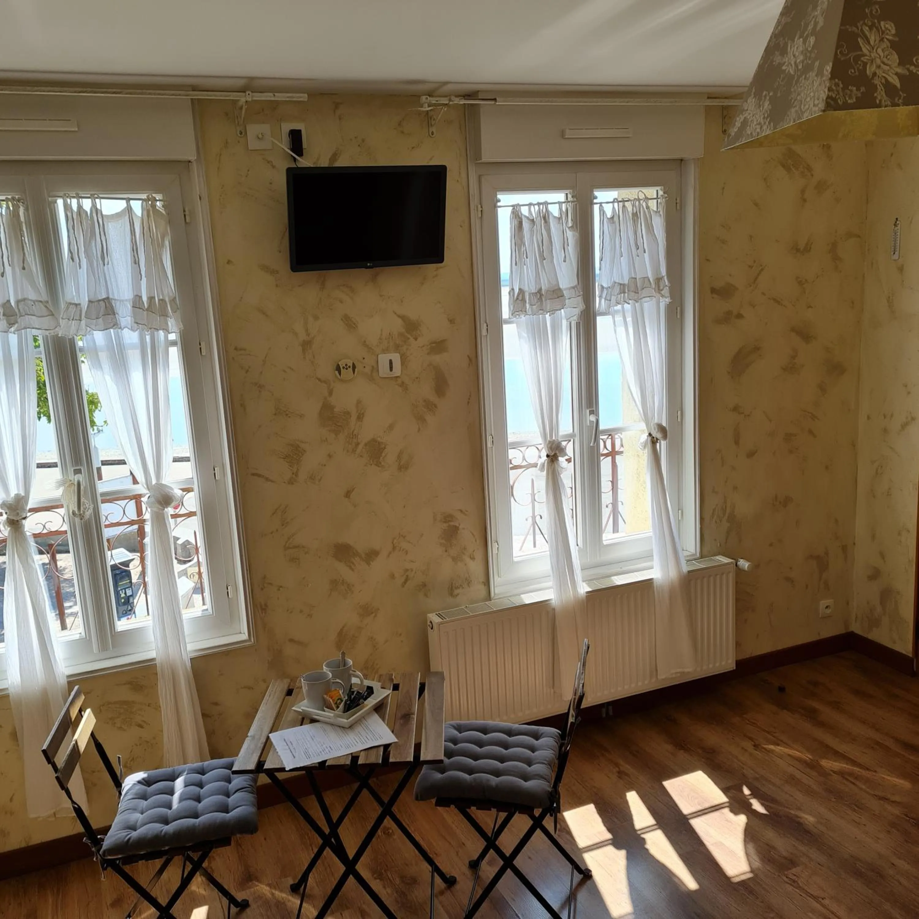 Les Mouettes Blessées