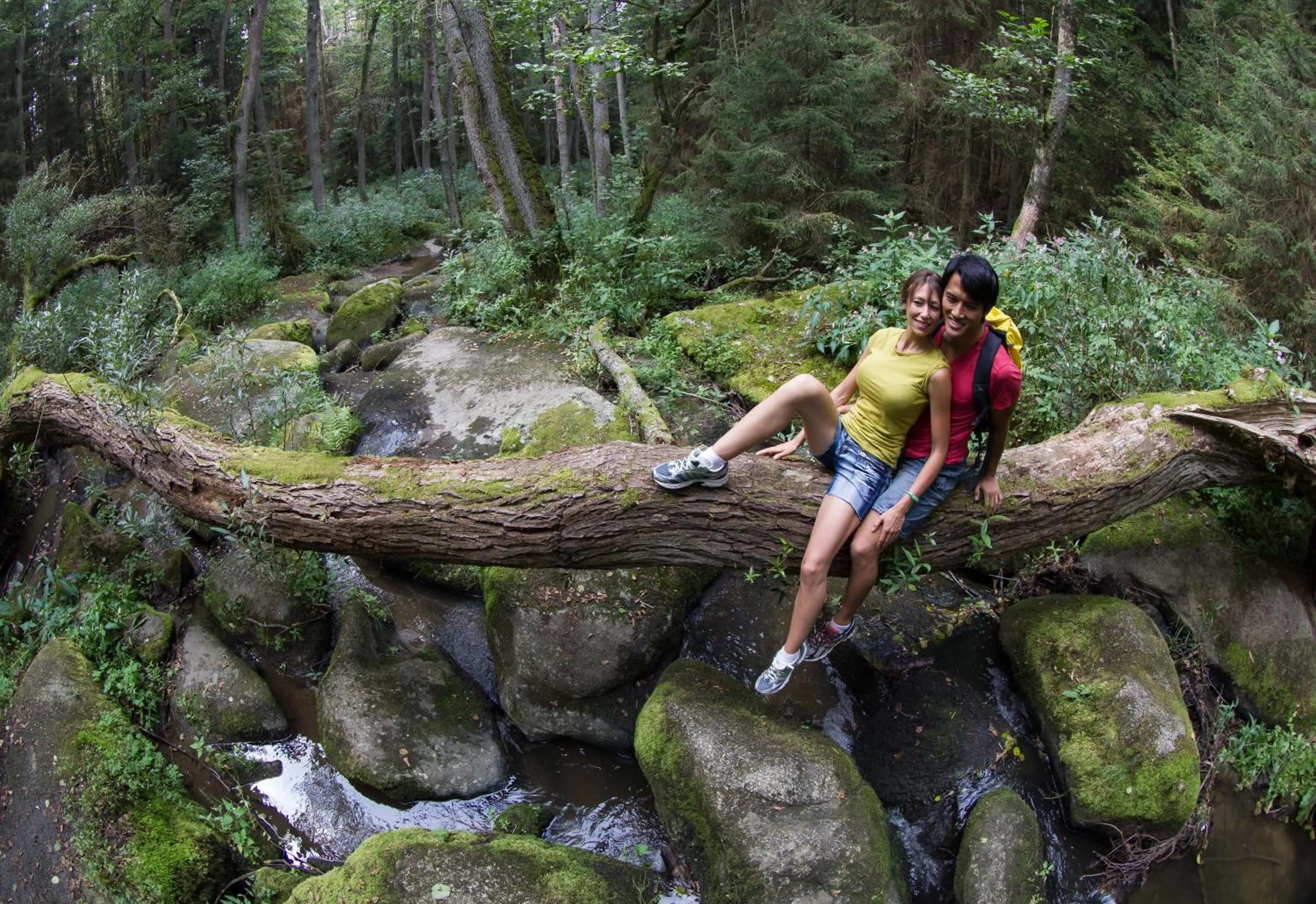 Hiking in Zum Schwarzen Bären
