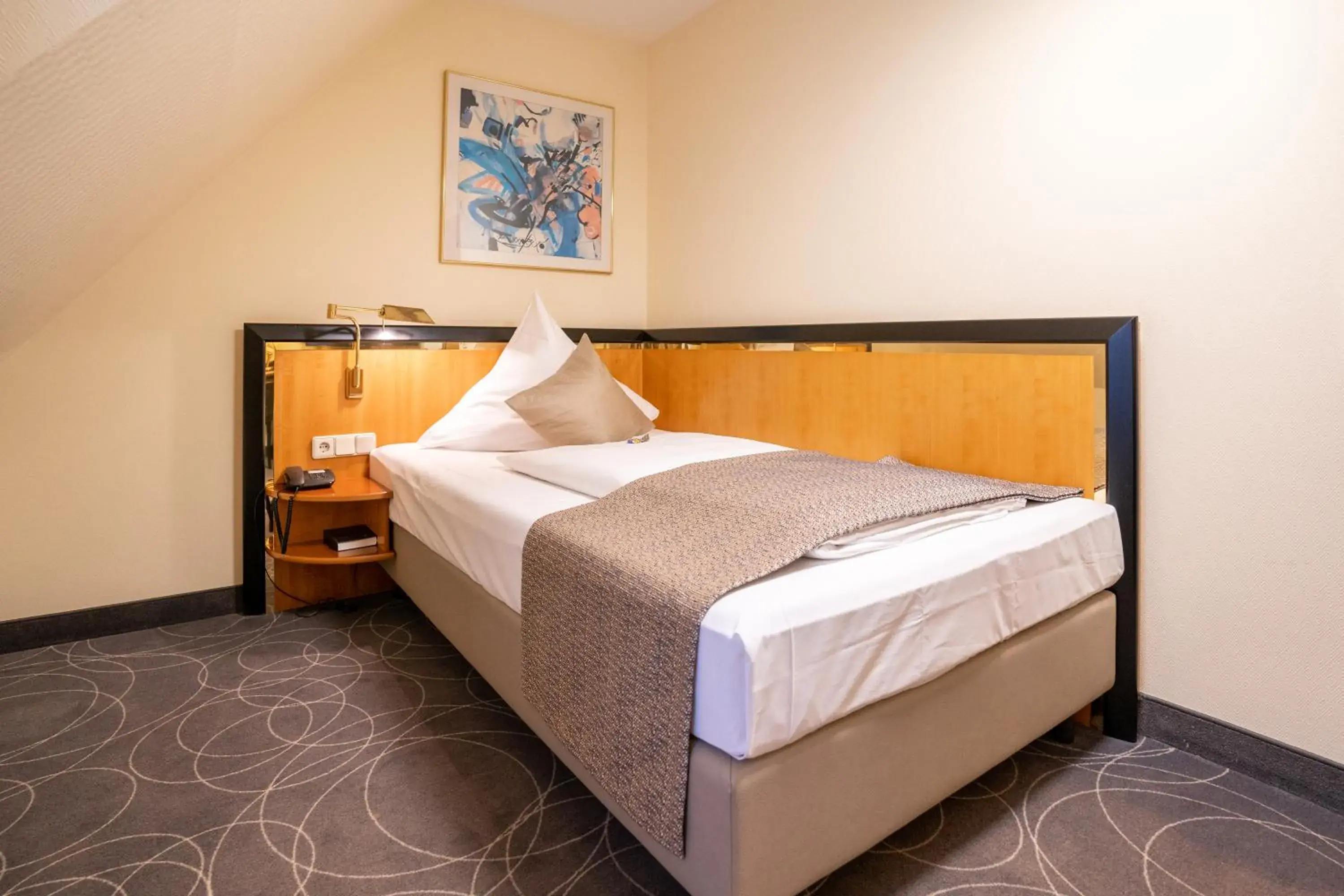 Single Room - single occupancy in Hotel am Stadtgarten Single Room - single occupancy in Hotel am Stadtgarten